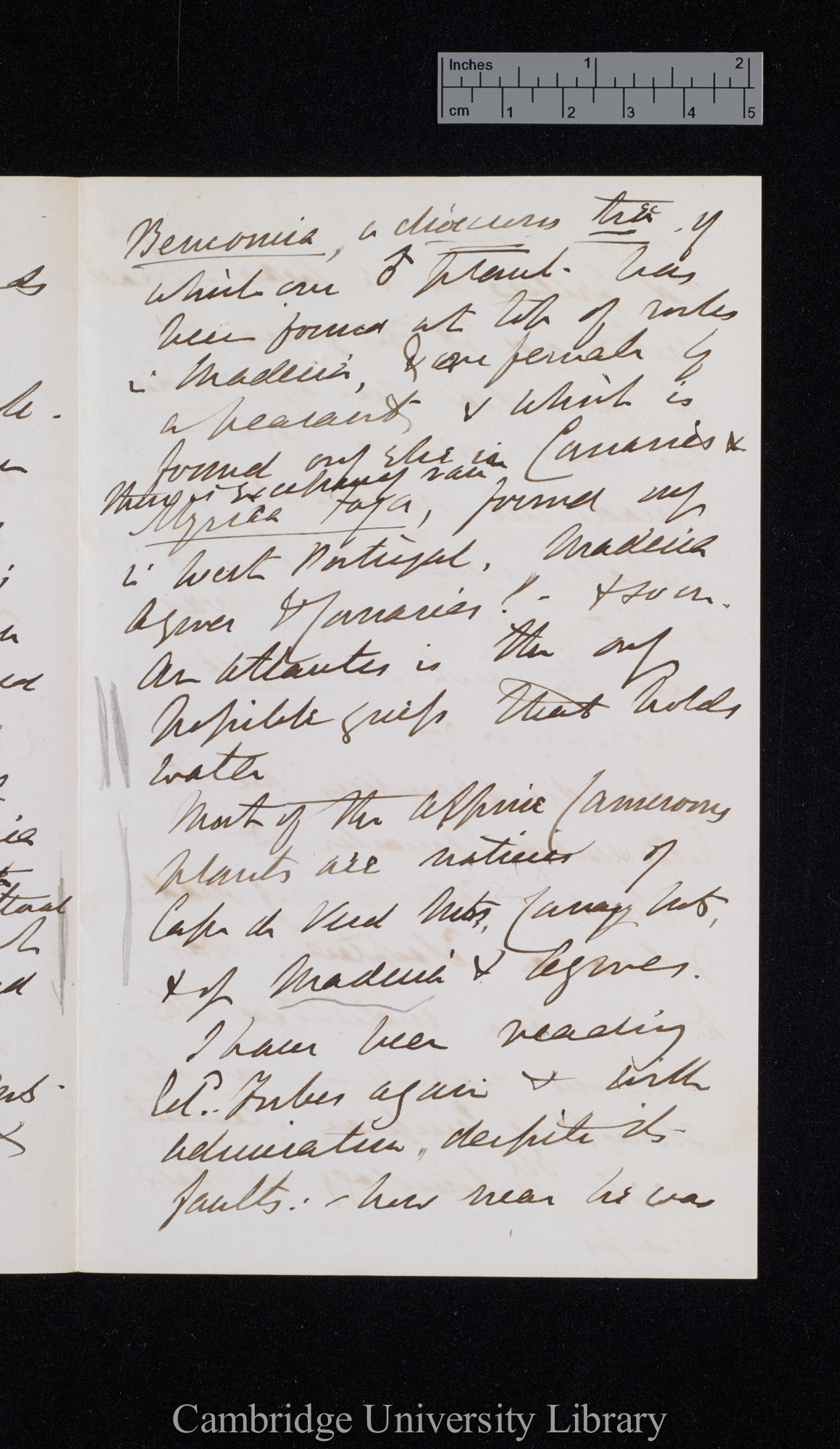 Sir Joseph Dalton Hooker to Charles Robert Darwin