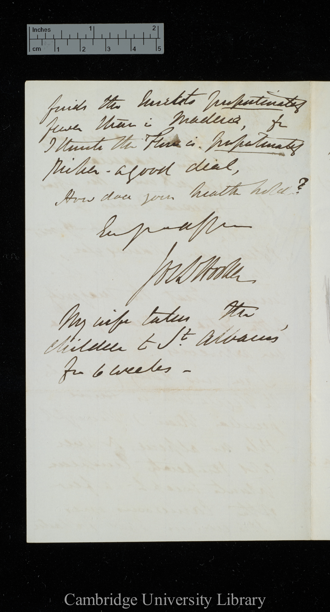 Sir Joseph Dalton Hooker to Charles Robert Darwin