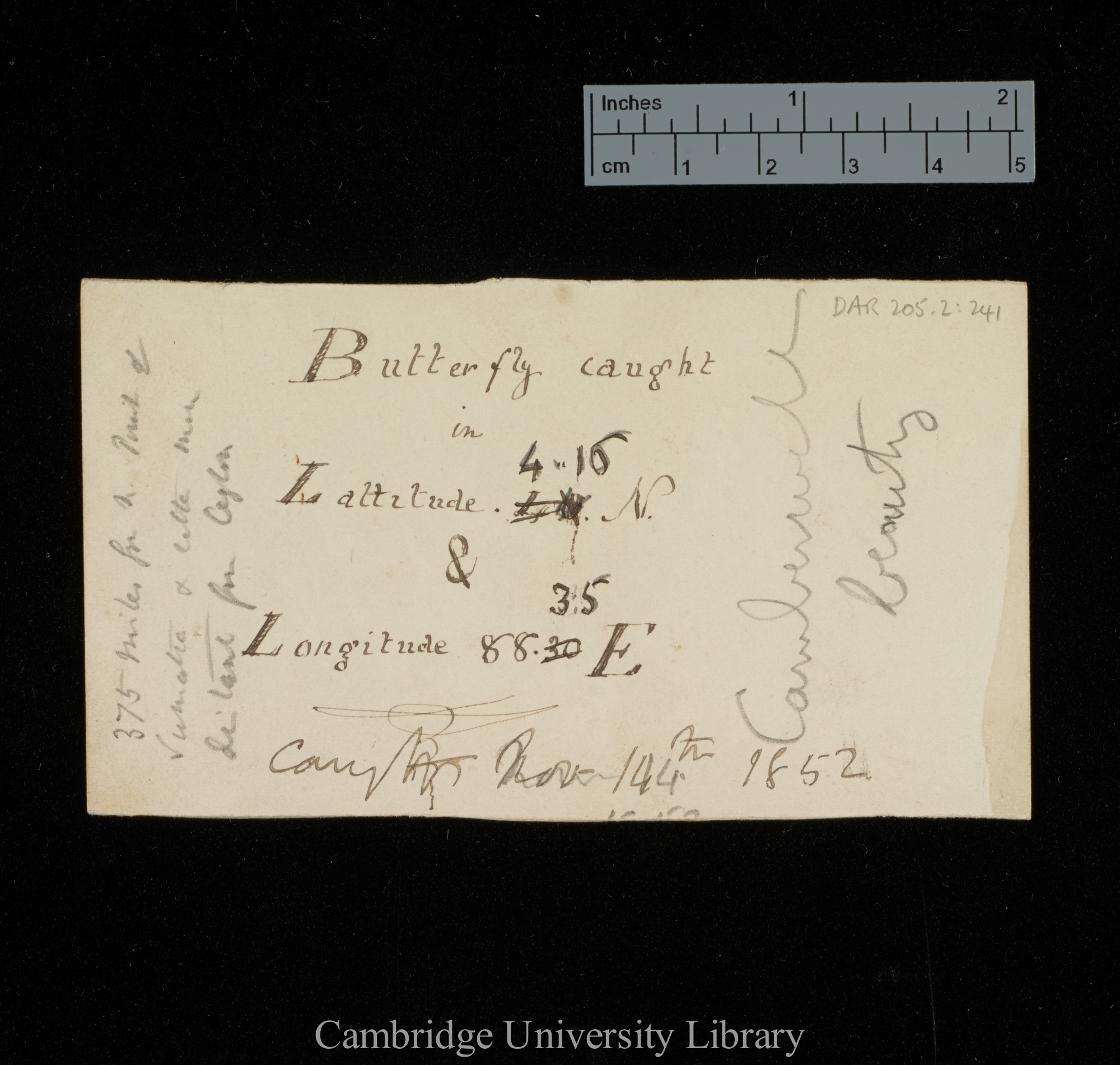 Frederick Wollaston Hutton to Charles Robert Darwin [label for drawing]