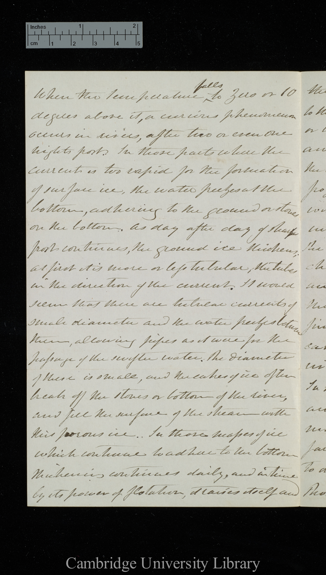 [Dr Landor] to Charles Robert Darwin