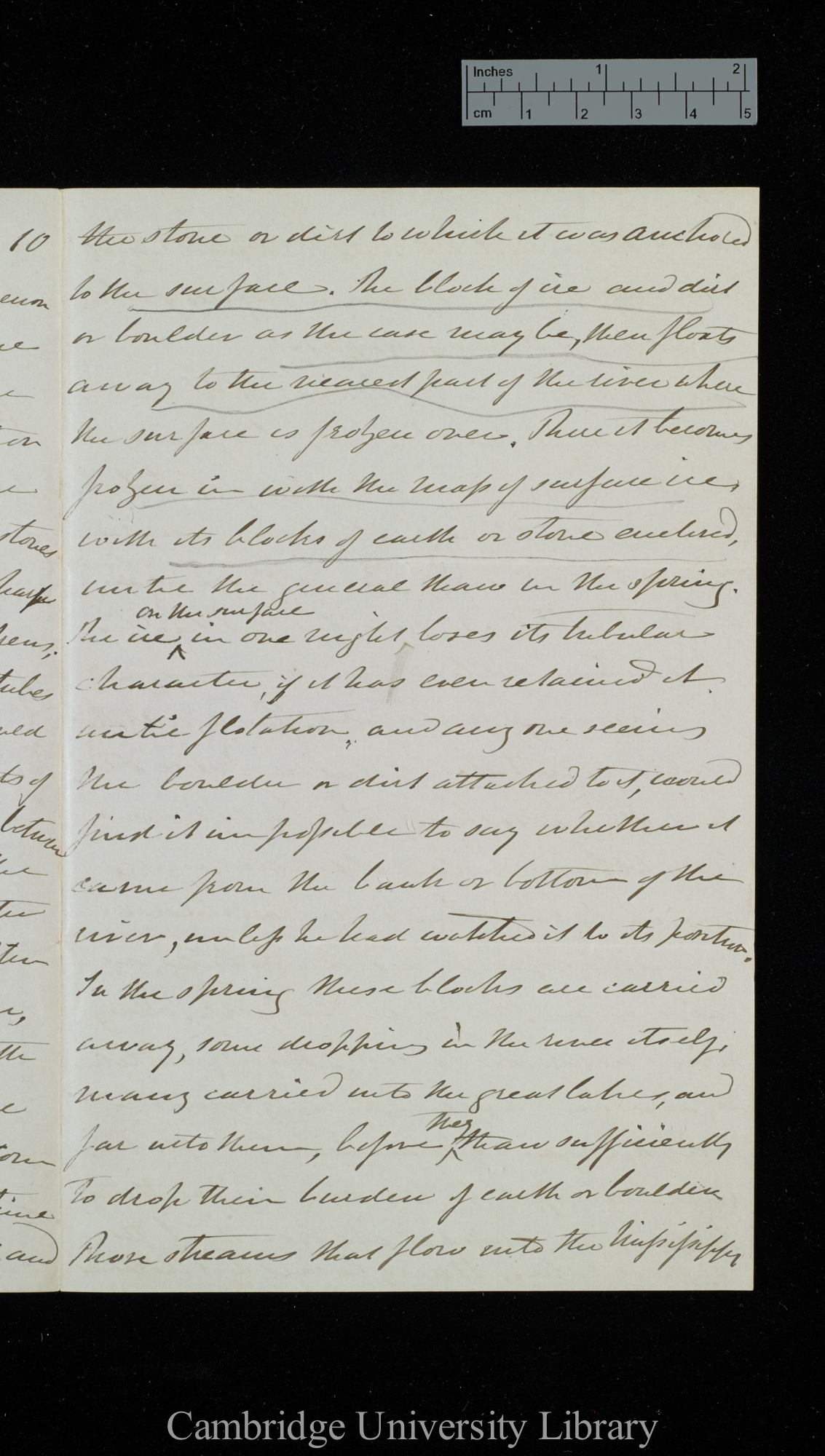 [Dr Landor] to Charles Robert Darwin