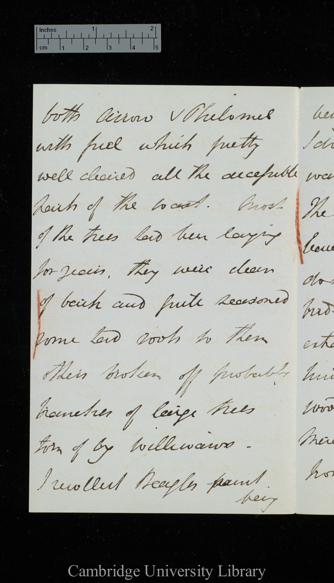 [Sir Bartholomew James Sulivan] to Charles Robert Darwin