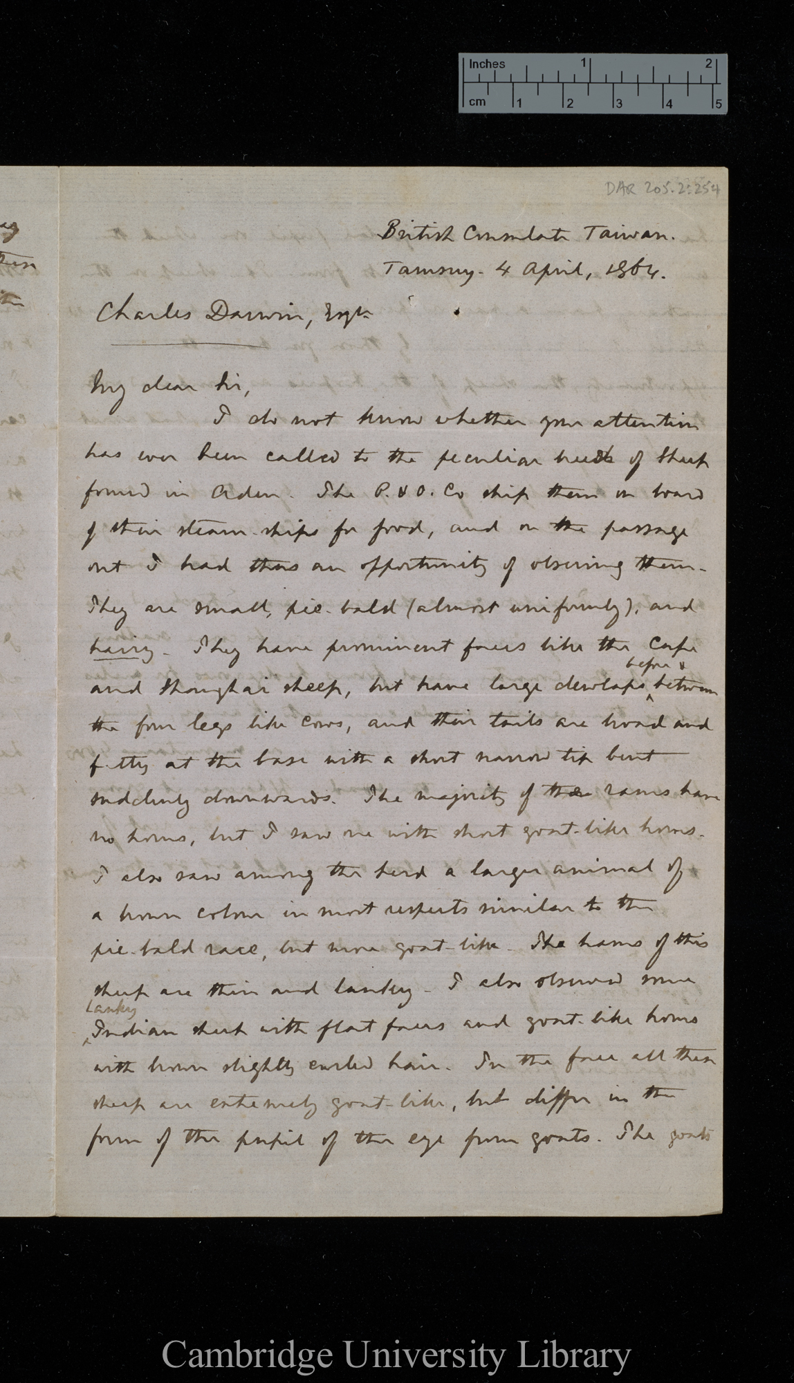 Robert Swinhoe to Charles Robert Darwin