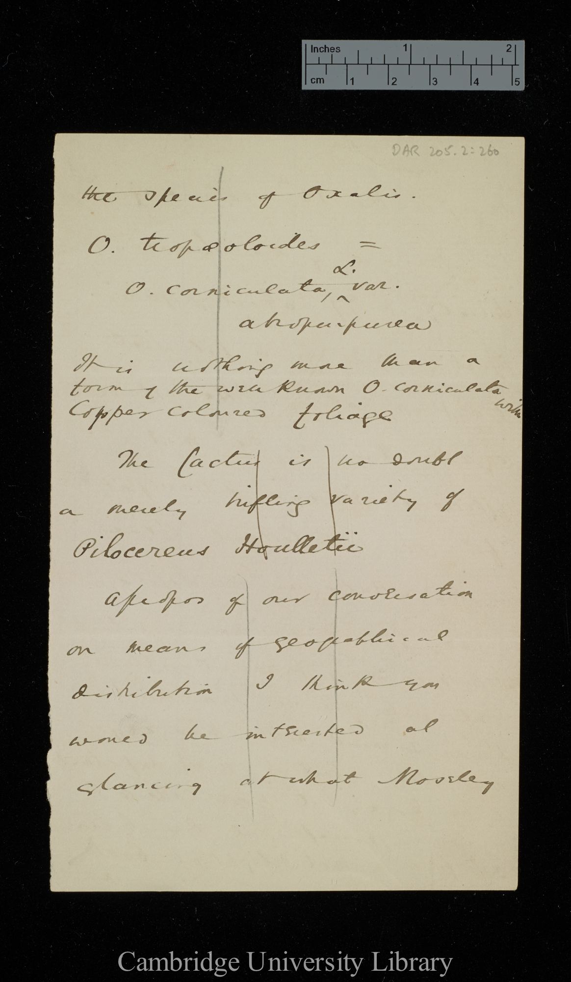 [Sir William Turner Thiselton-Dyer] to Charles Robert Darwin