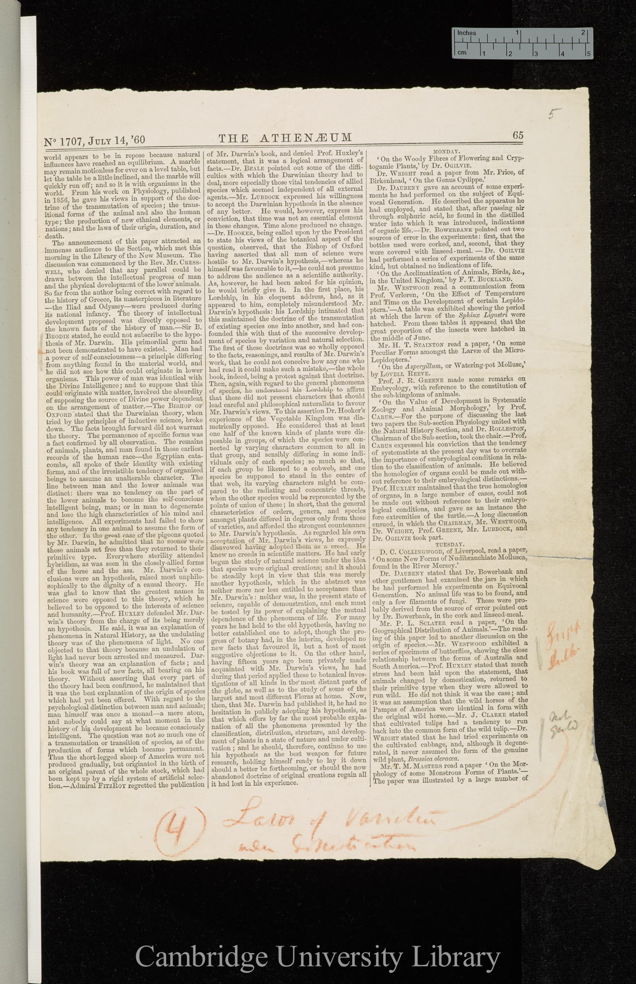 On the intellectual development of Europe, considered with reference to the views of Darwin and others...&#39;Athenaeum&#39;: (64-)65