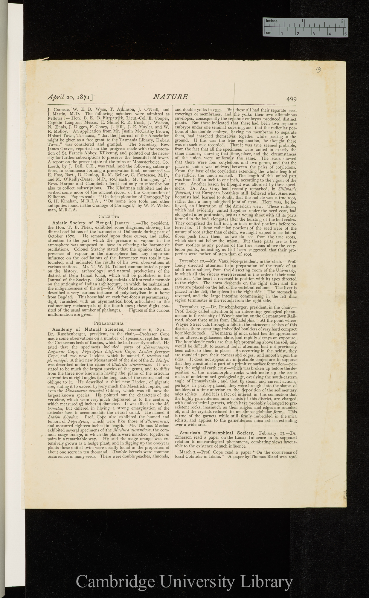 On the geology and physical geography of the West Indies with reference to the distribution of Mollusca &#39;Nature&#39; 3: 499