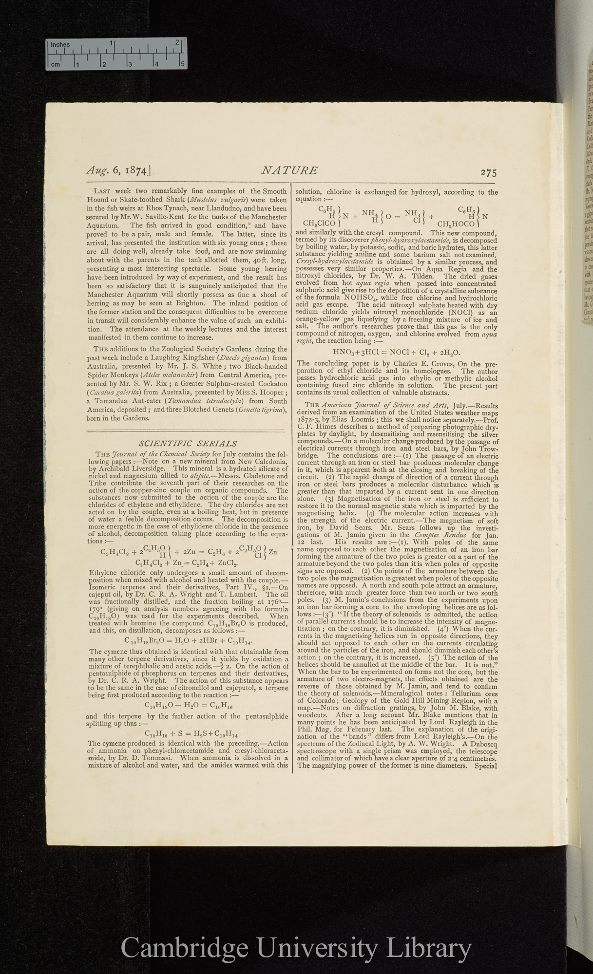 Notice of &#39;Neue Denkschriften der allgemeinen schweizerischen Gesellschaft 25&#39; &#39;Nature&#39; 10: 275