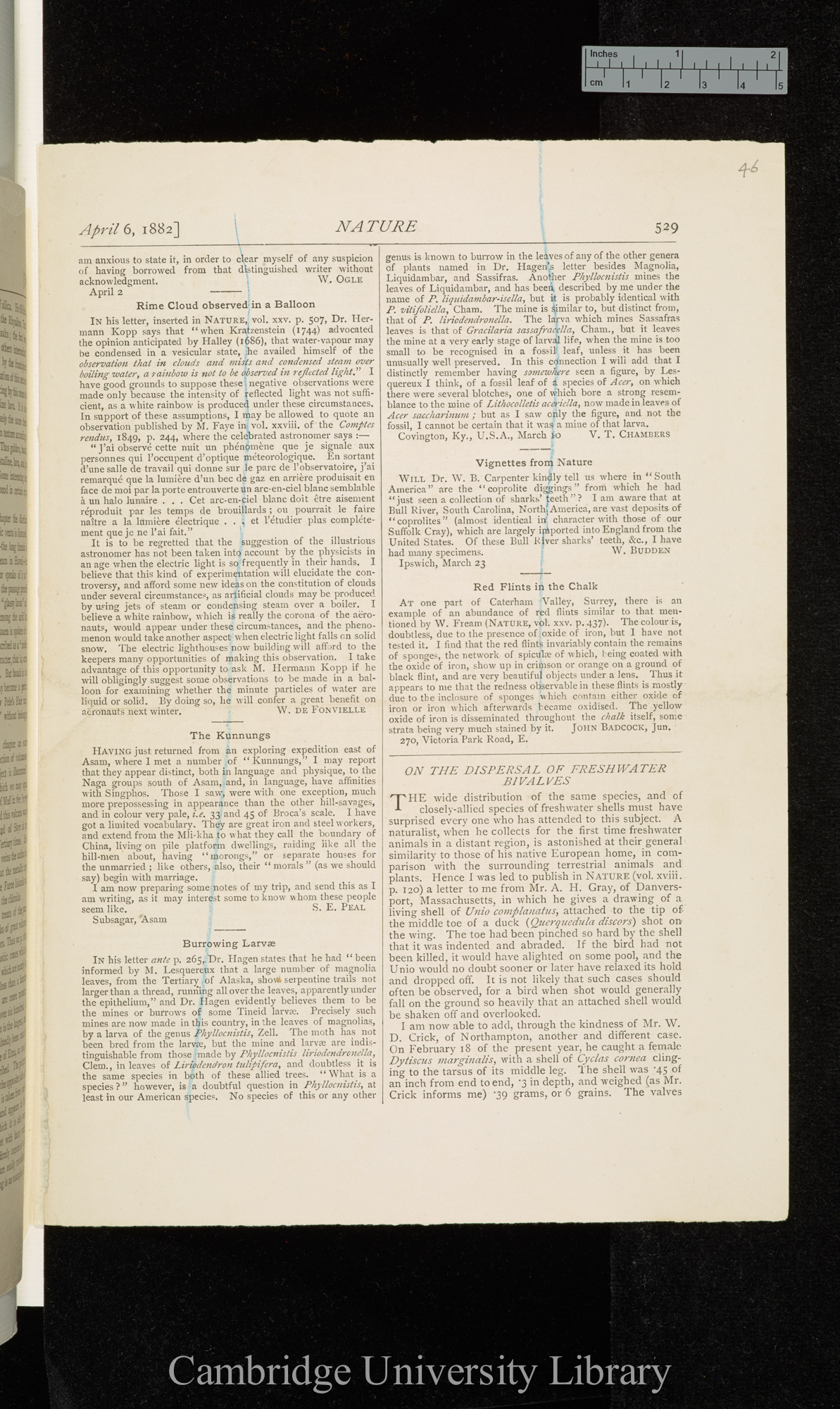 On the dispersal of freshwater bivalaves &#39;Nature&#39; 25: 529