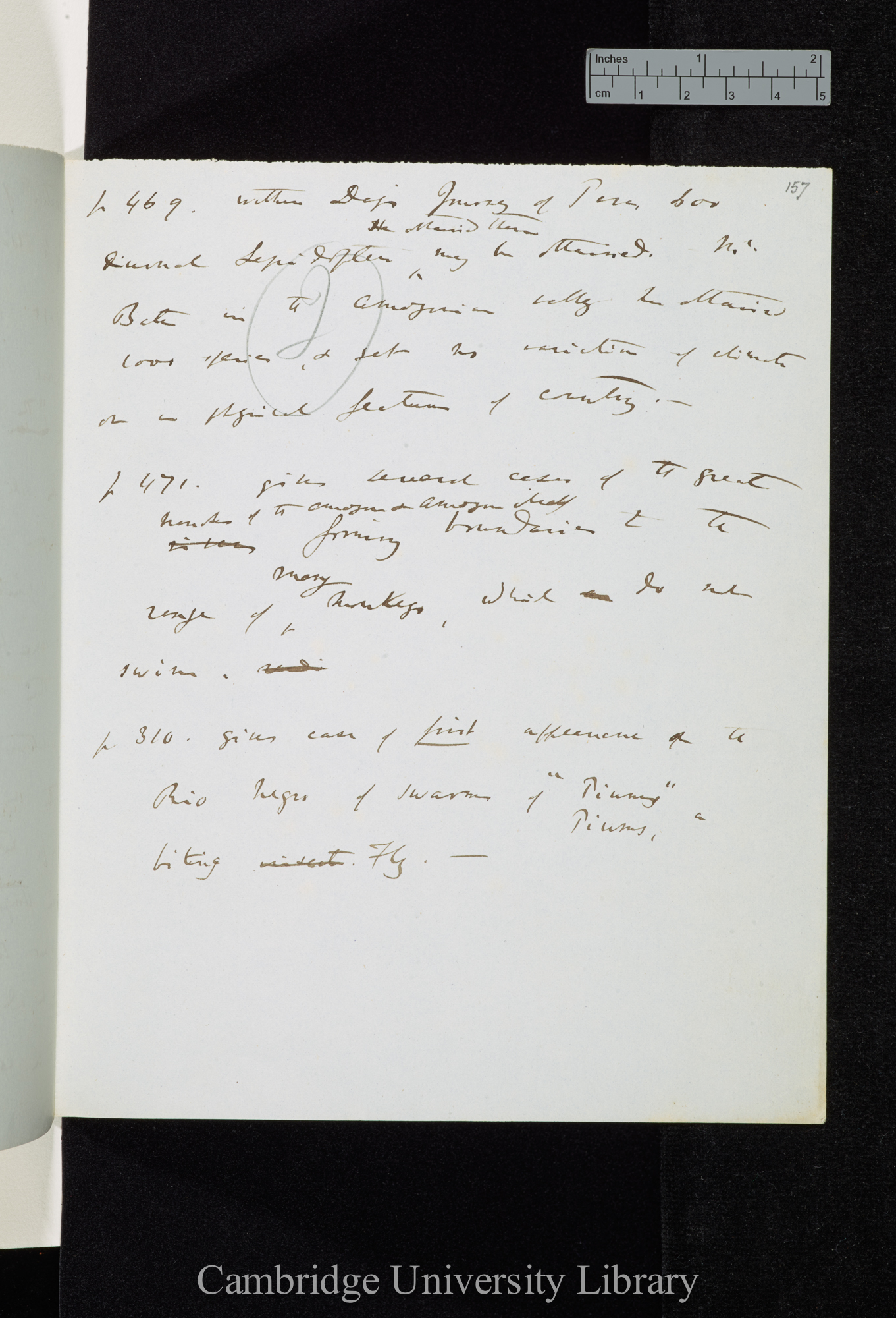 Wallace A R &#39;Narrative of travels on the Amazon&#39; 1853