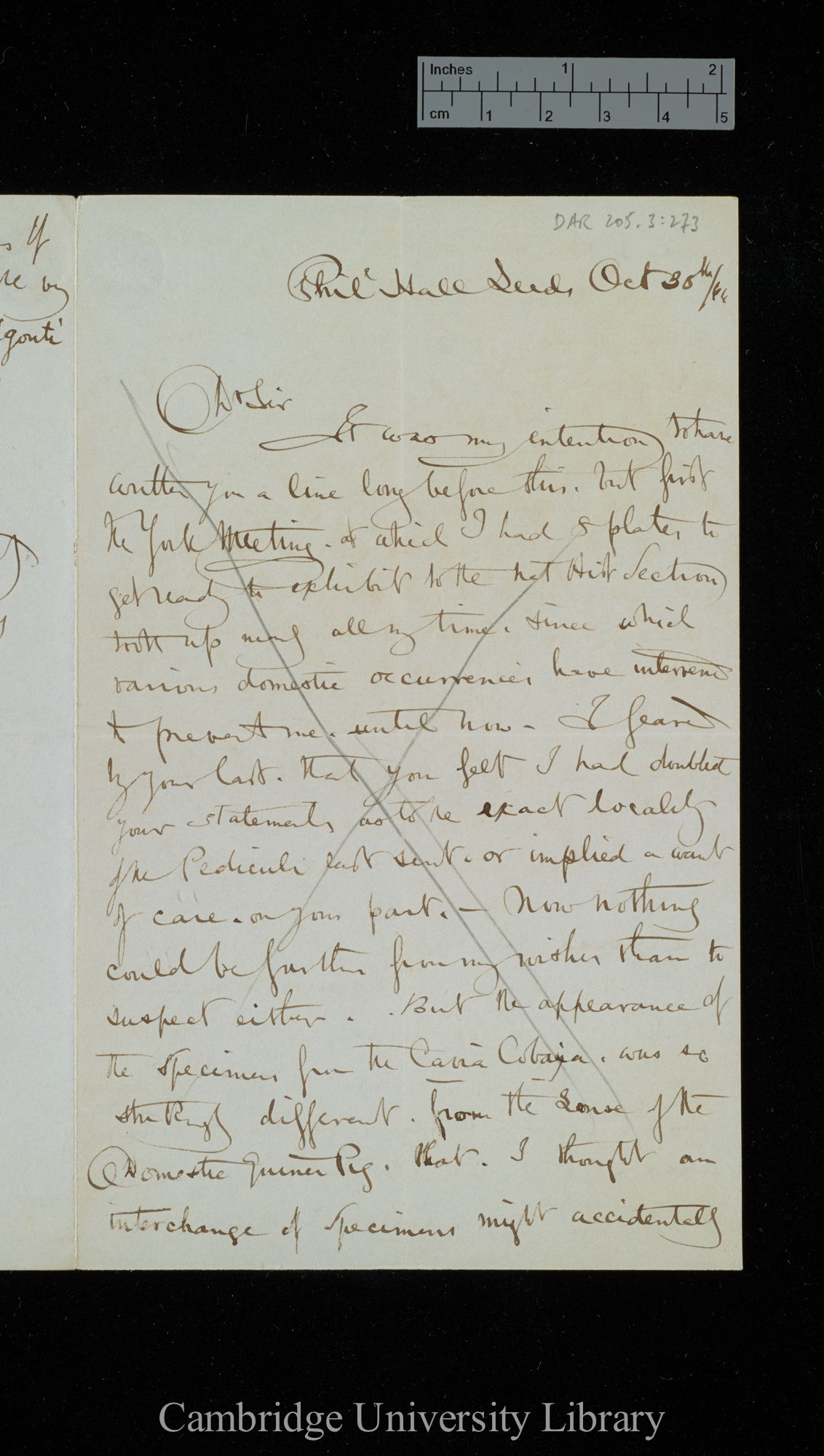 Henry Denny to Charles Robert Darwin