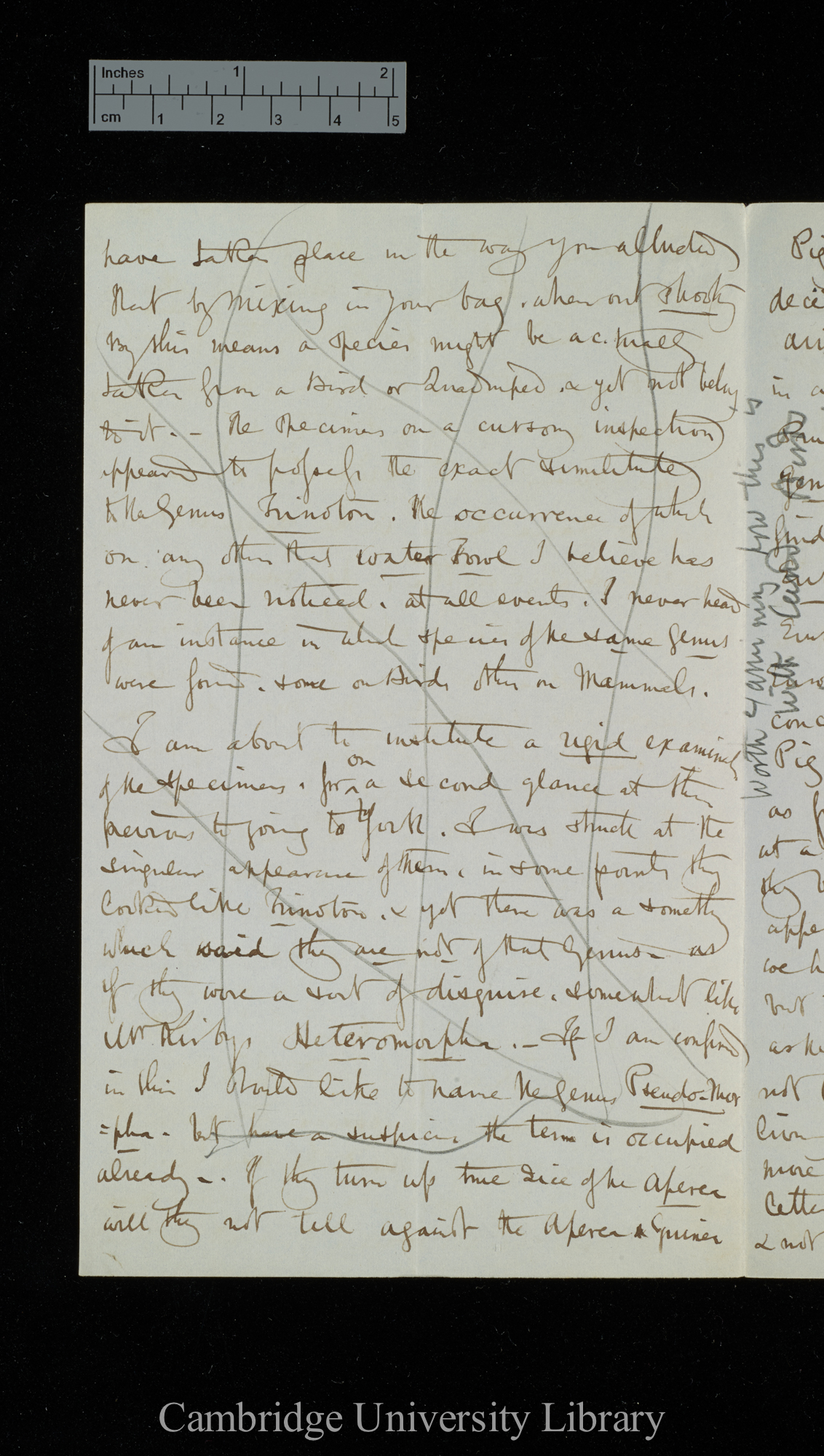 Henry Denny to Charles Robert Darwin