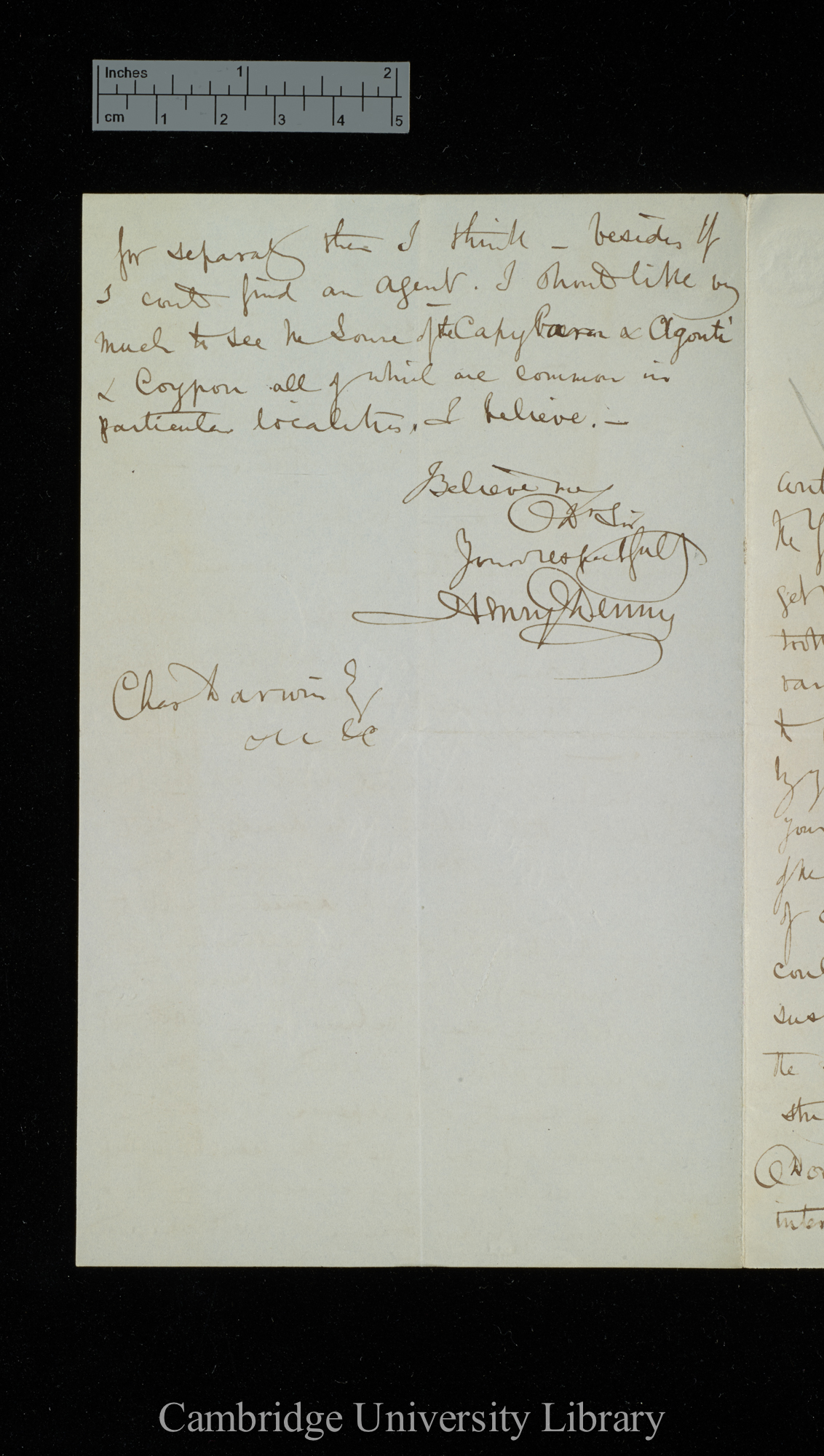 Henry Denny to Charles Robert Darwin