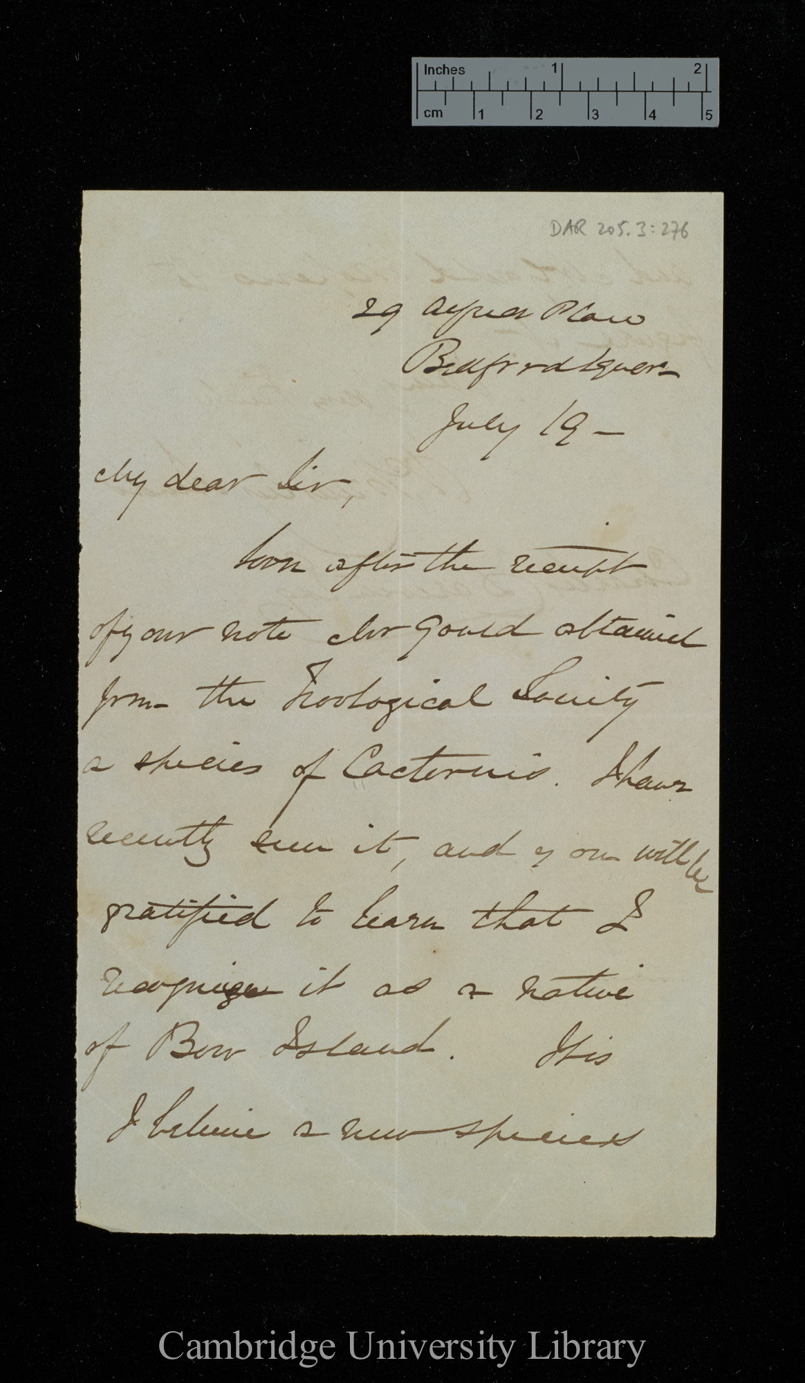 Richard Brinsley Hinds to Charles Robert Darwin