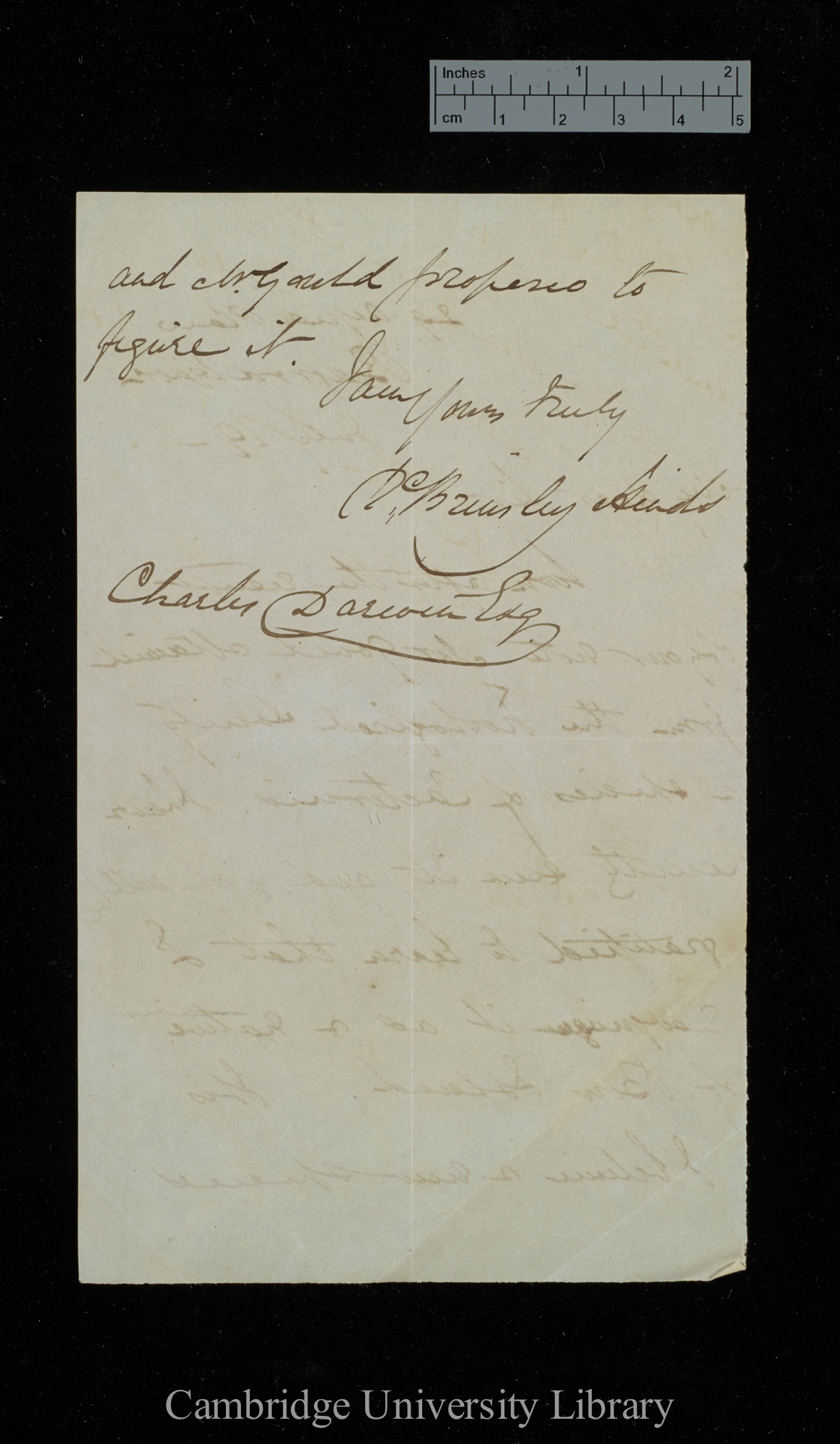 Richard Brinsley Hinds to Charles Robert Darwin