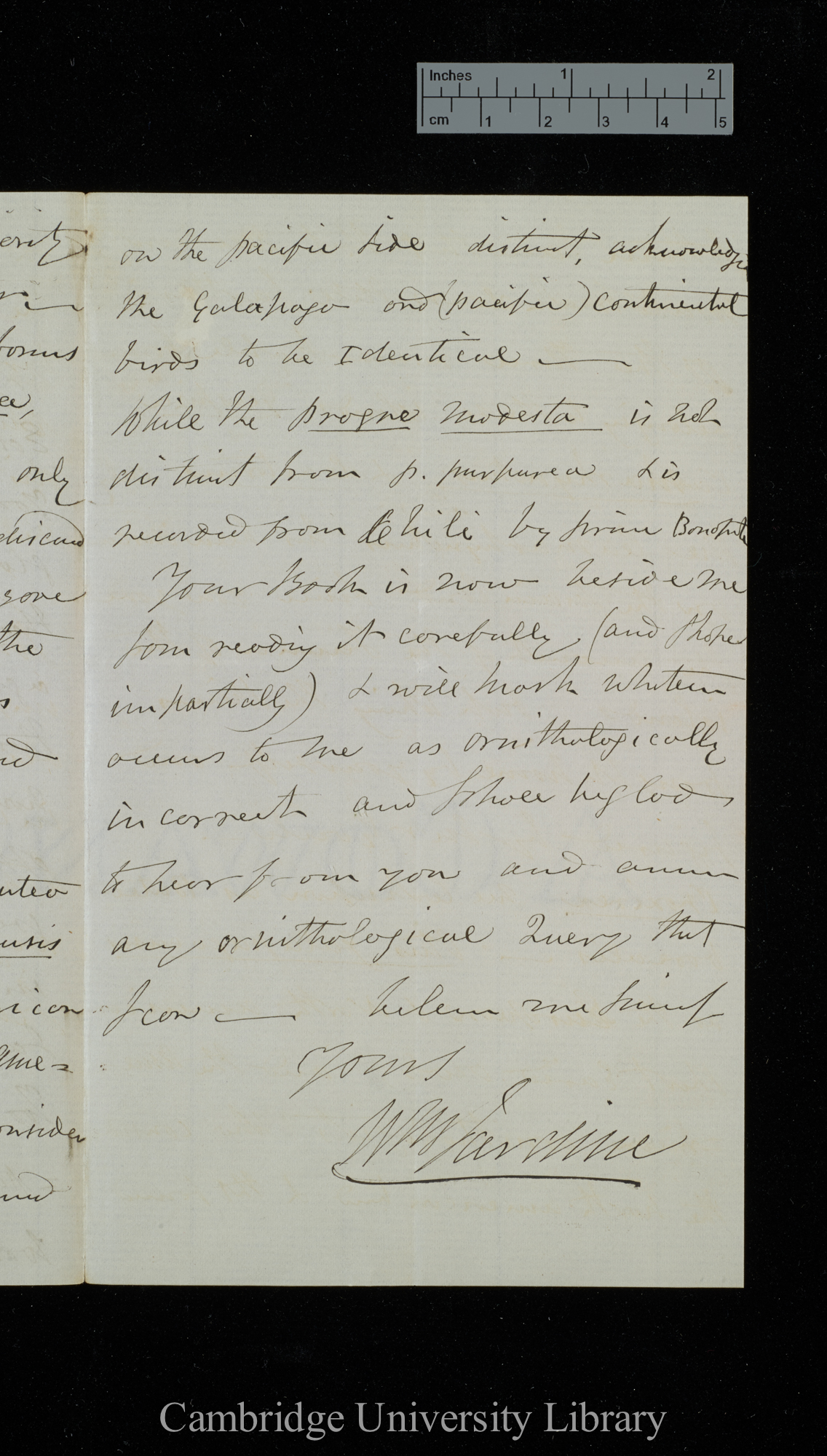 William Jardine to Charles Robert Darwin