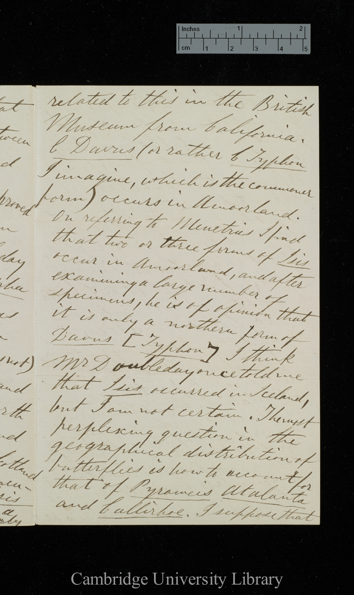 William Forsell Kirby to Charles Robert Darwin
