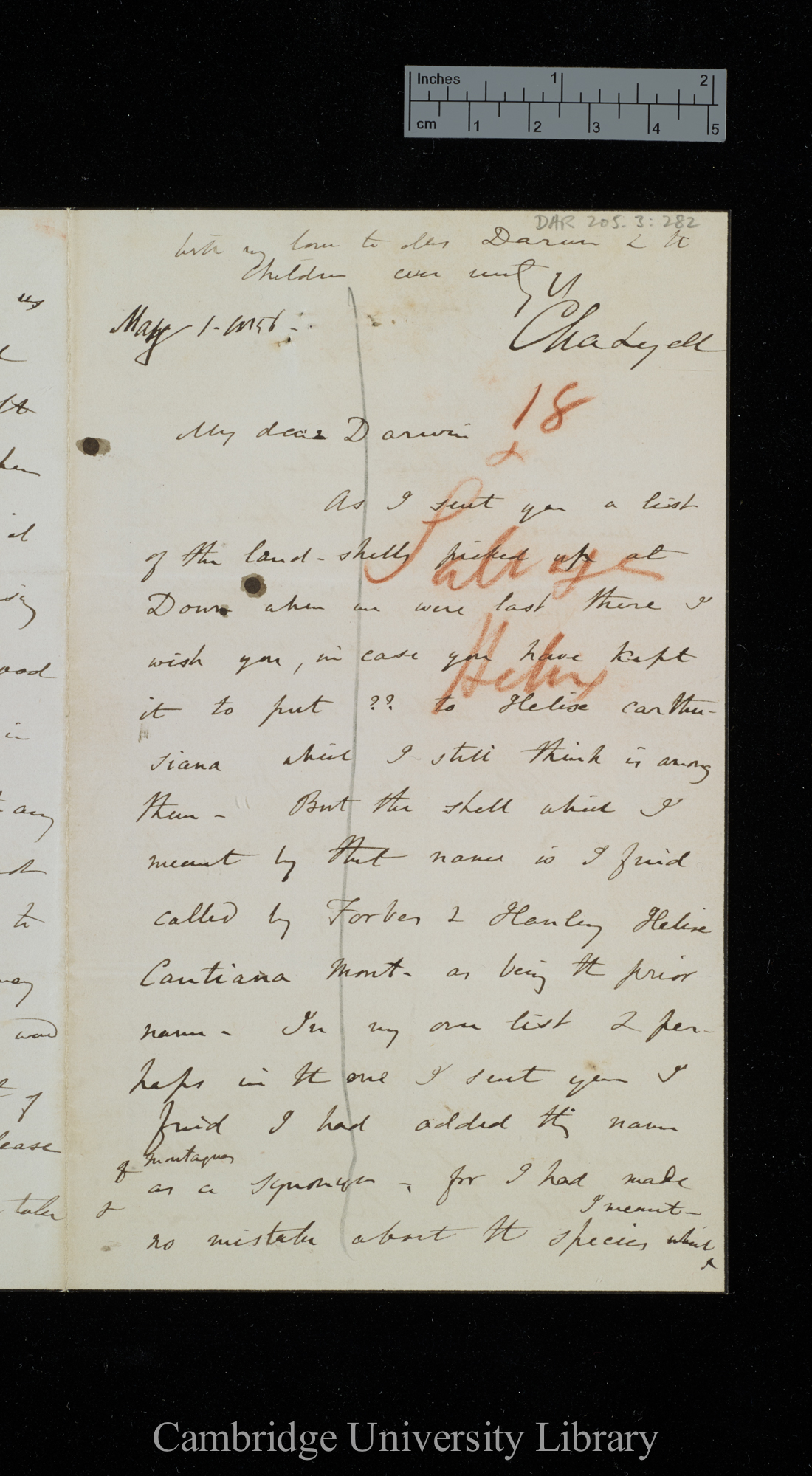 Sir Charles Lyell to Charles Robert Darwin