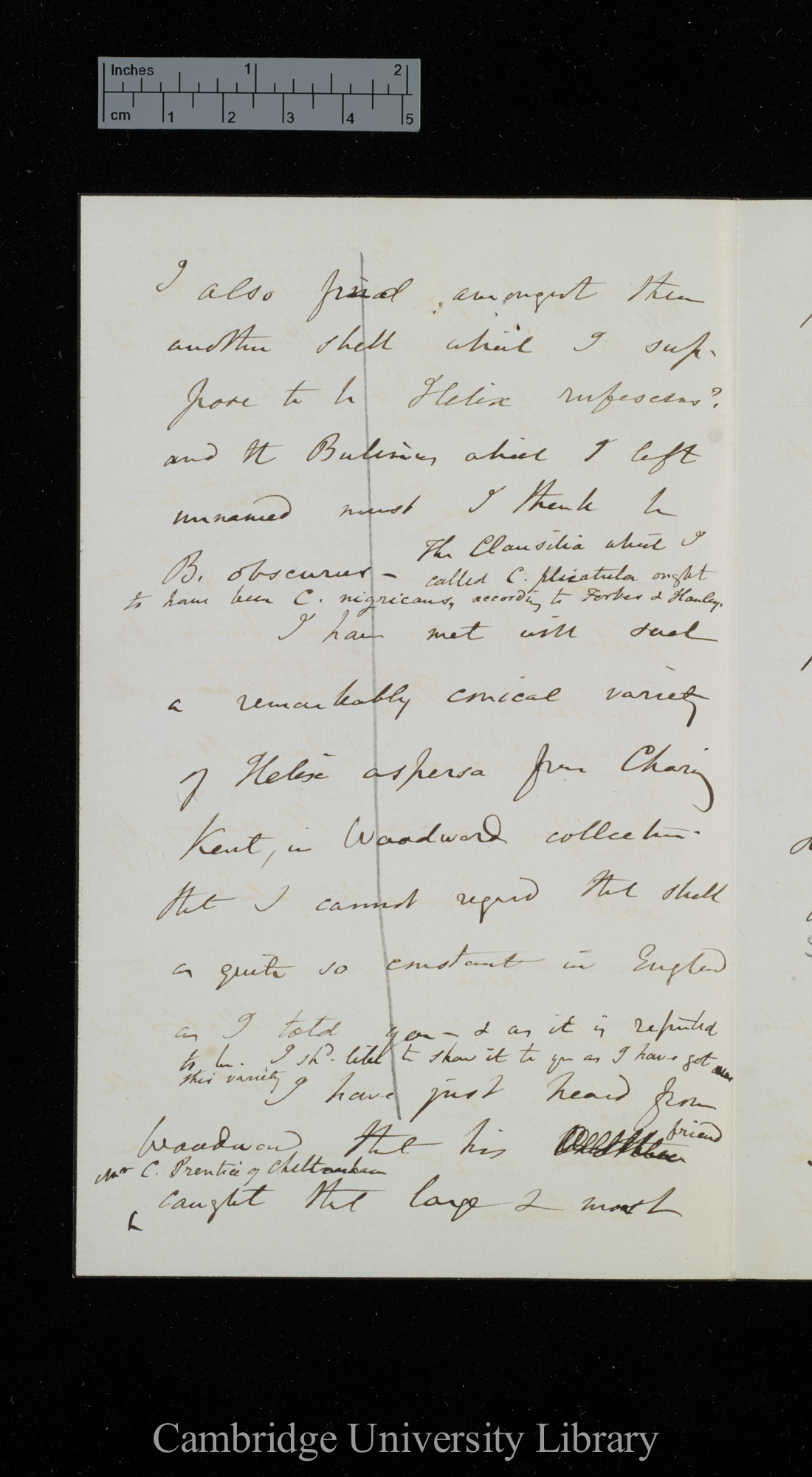 Sir Charles Lyell to Charles Robert Darwin