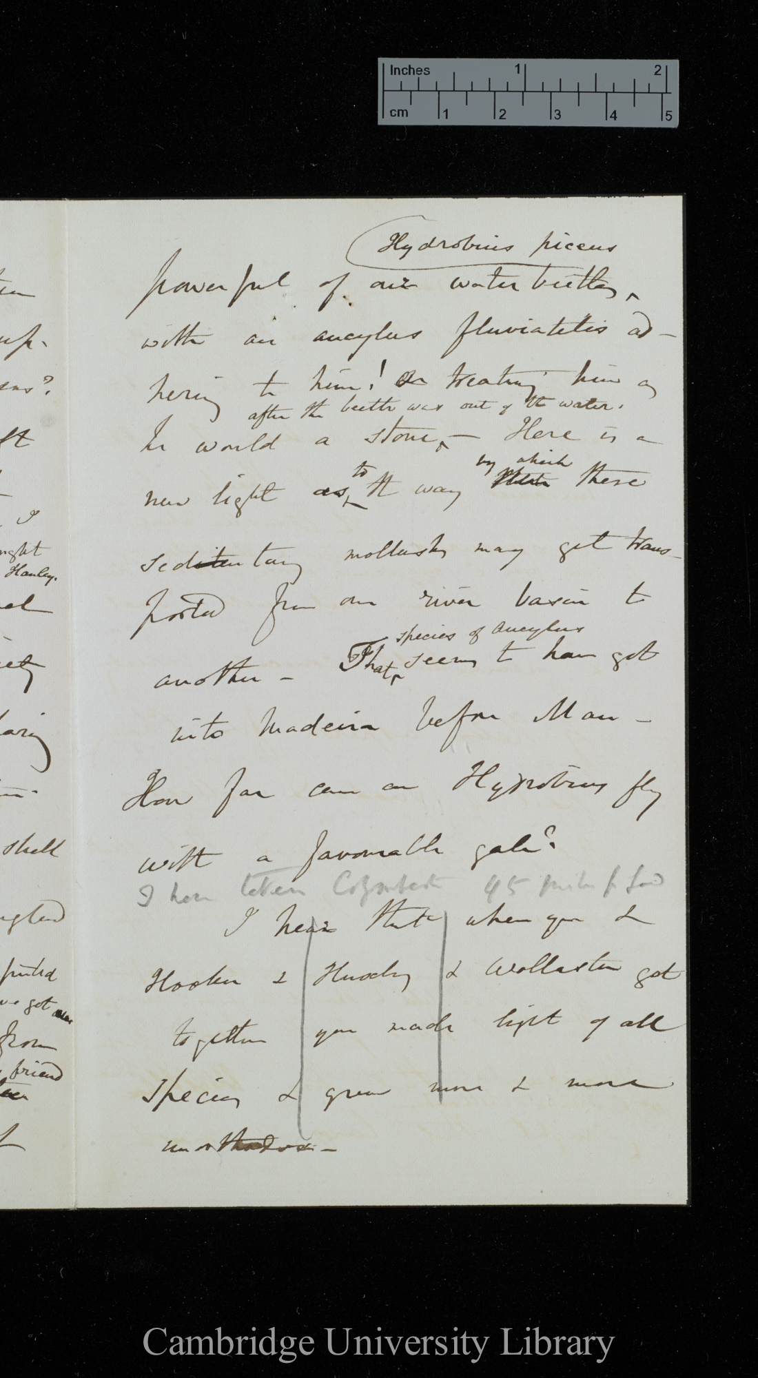 Sir Charles Lyell to Charles Robert Darwin