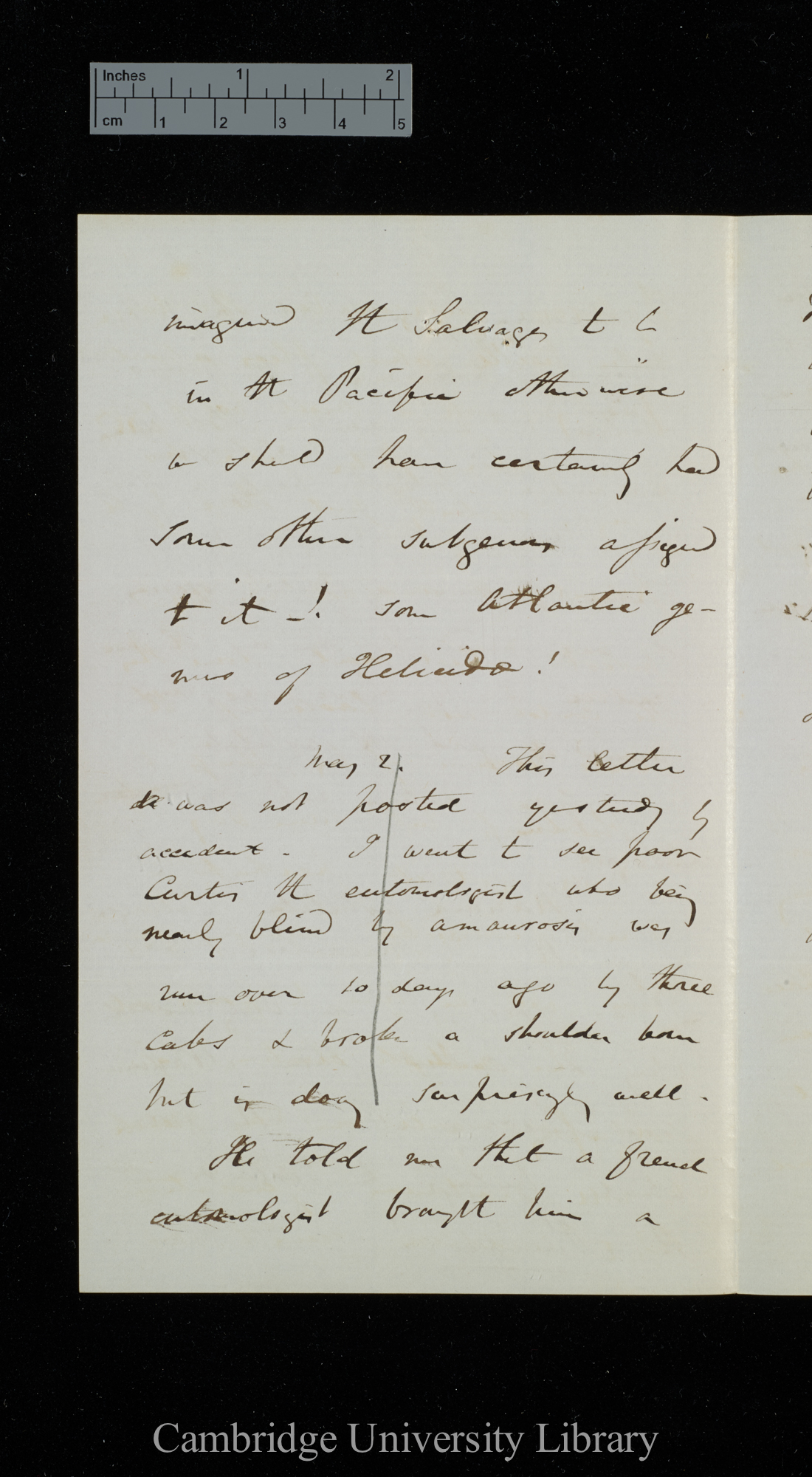 Sir Charles Lyell to Charles Robert Darwin