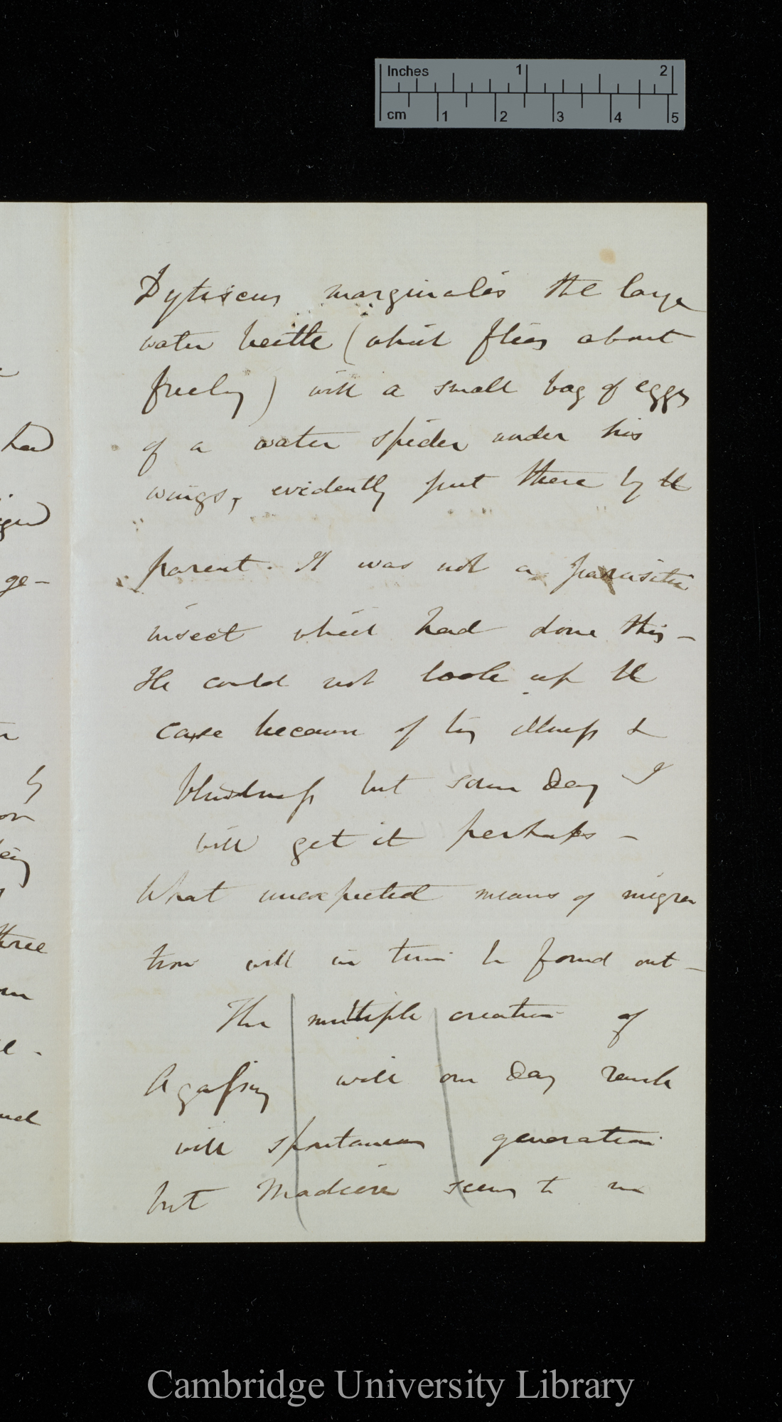 Sir Charles Lyell to Charles Robert Darwin