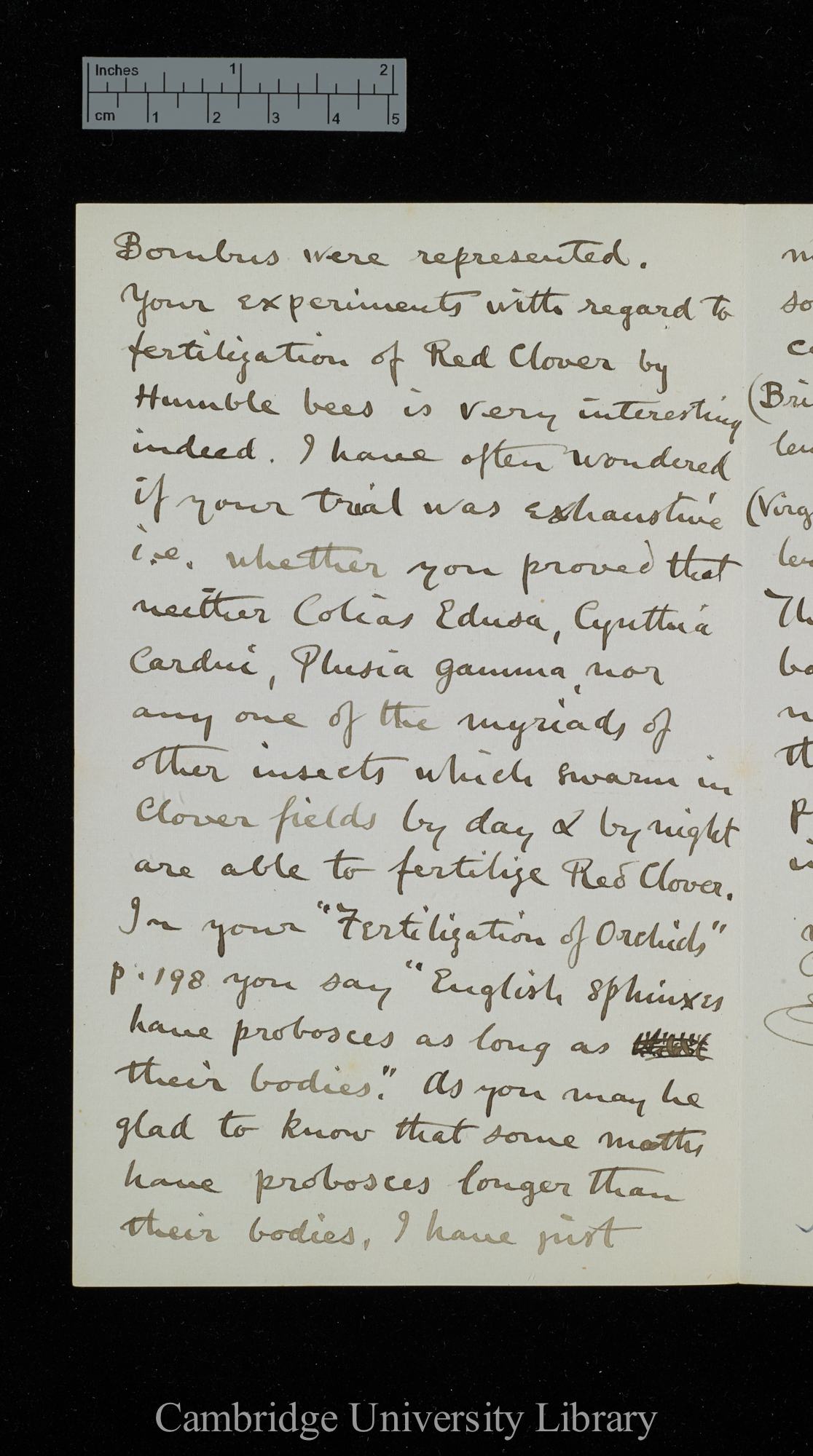 Frederick Norgate to Charles Robert Darwin