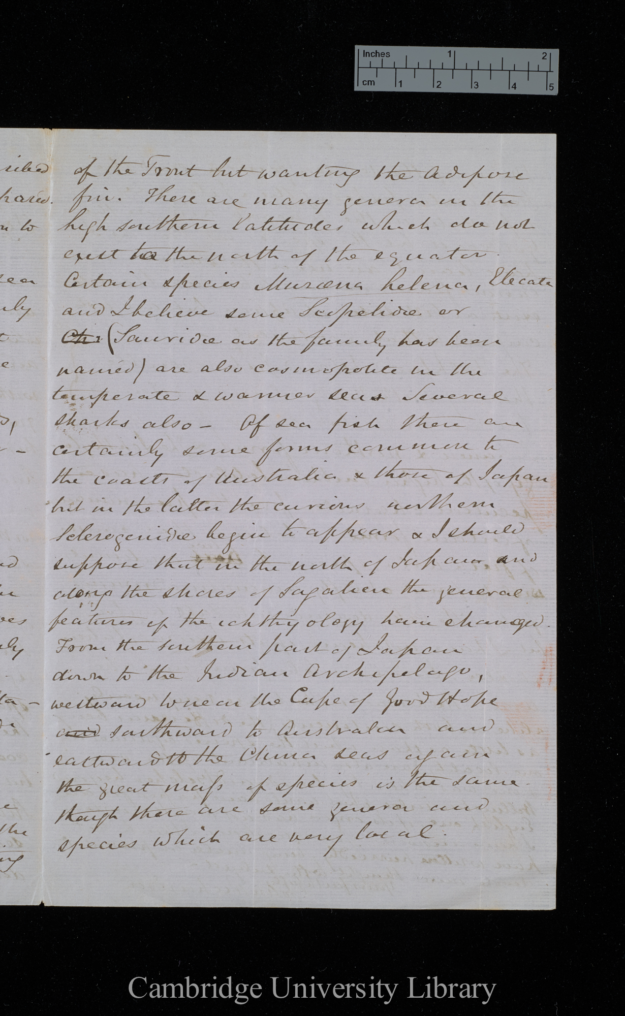 Sir John Richardson to Charles Robert Darwin