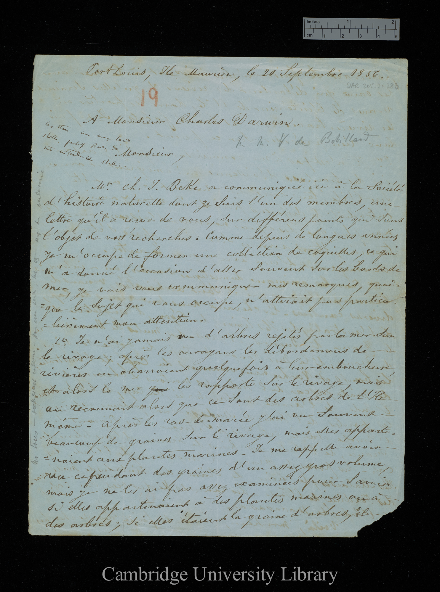 [Victor de Robillard] to Charles Robert Darwin