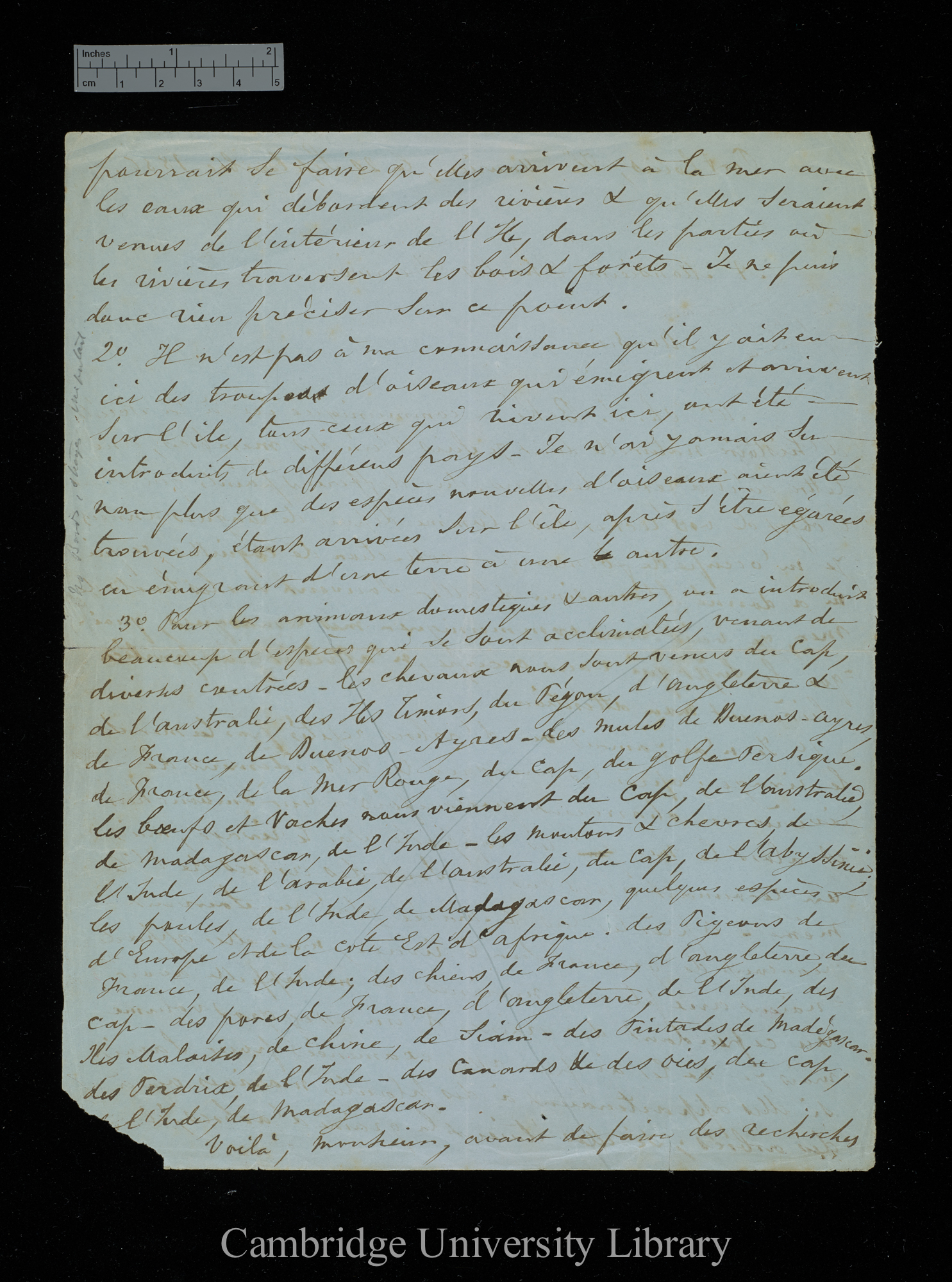 [Victor de Robillard] to Charles Robert Darwin