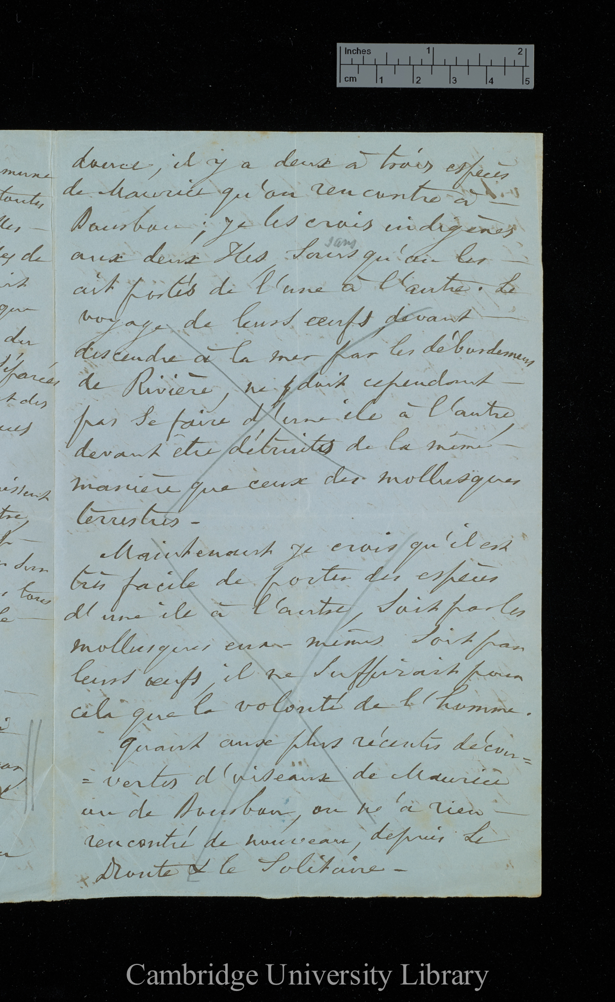 [Victor de Robillard] to Charles Robert Darwin