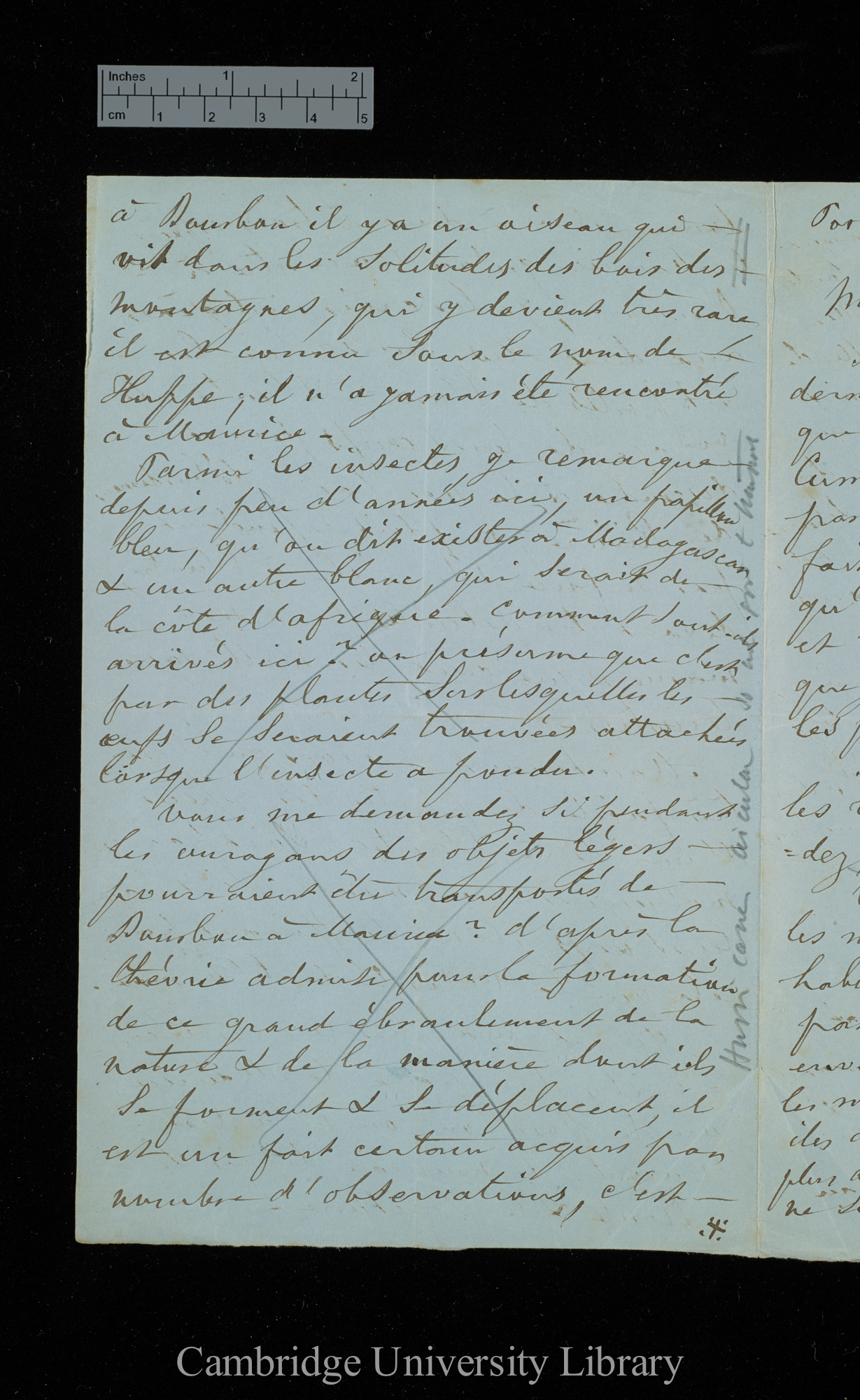 [Victor de Robillard] to Charles Robert Darwin