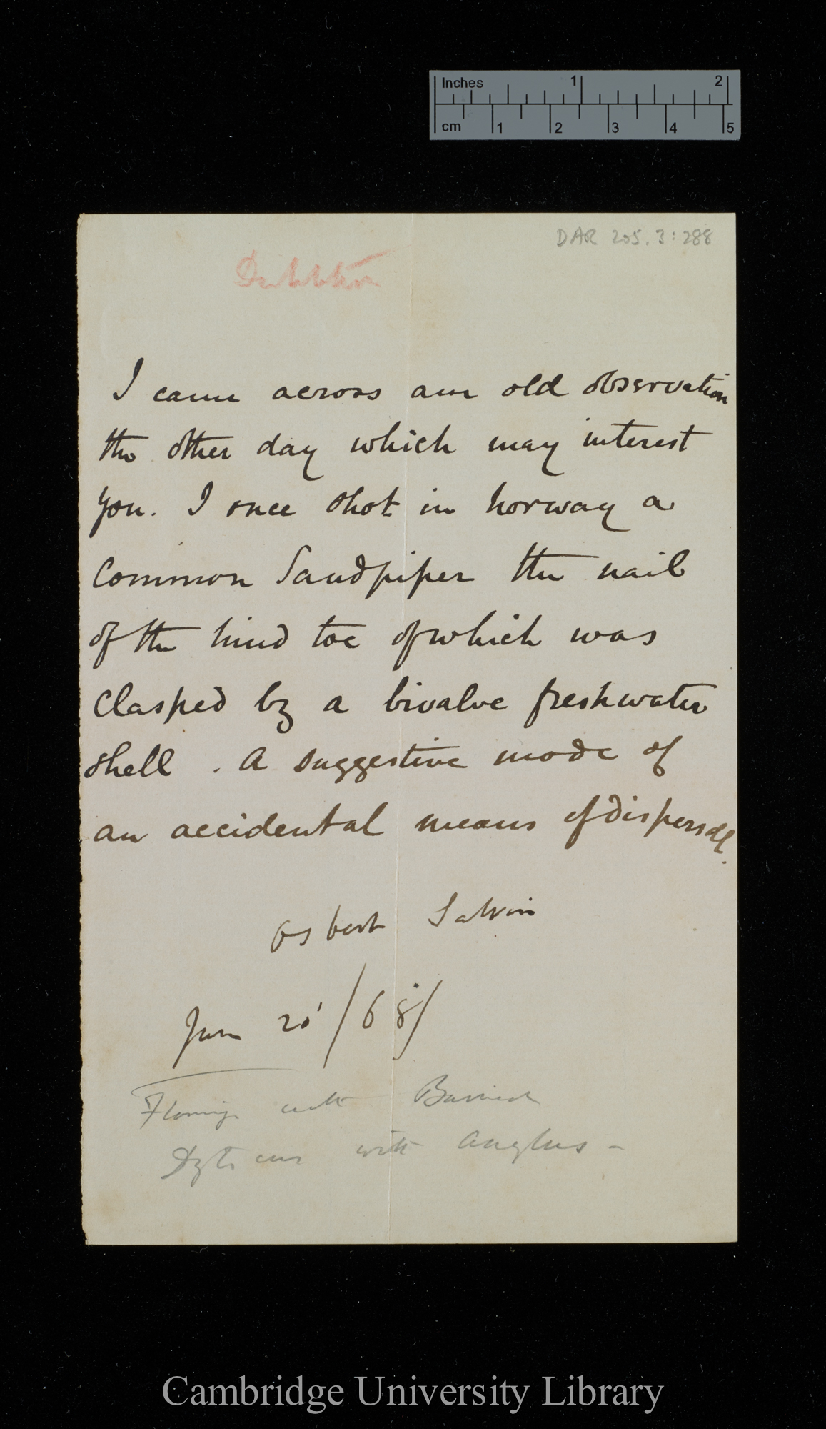 Letter from Osbert Salvin to Charles Robert Darwin; written at [Brompton]; memo; enclosure to DAR 177: 18