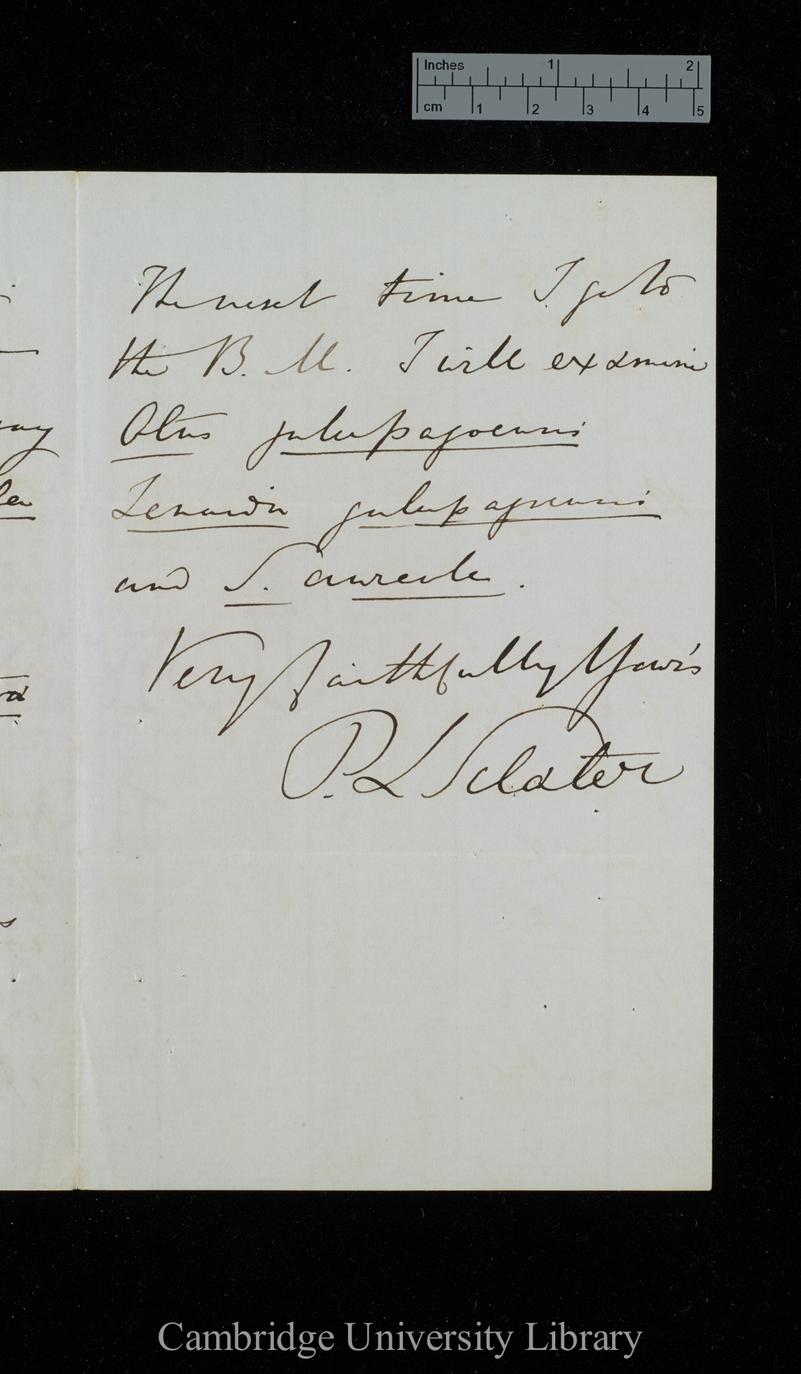 Philip Lutley Sclater to Charles Robert Darwin