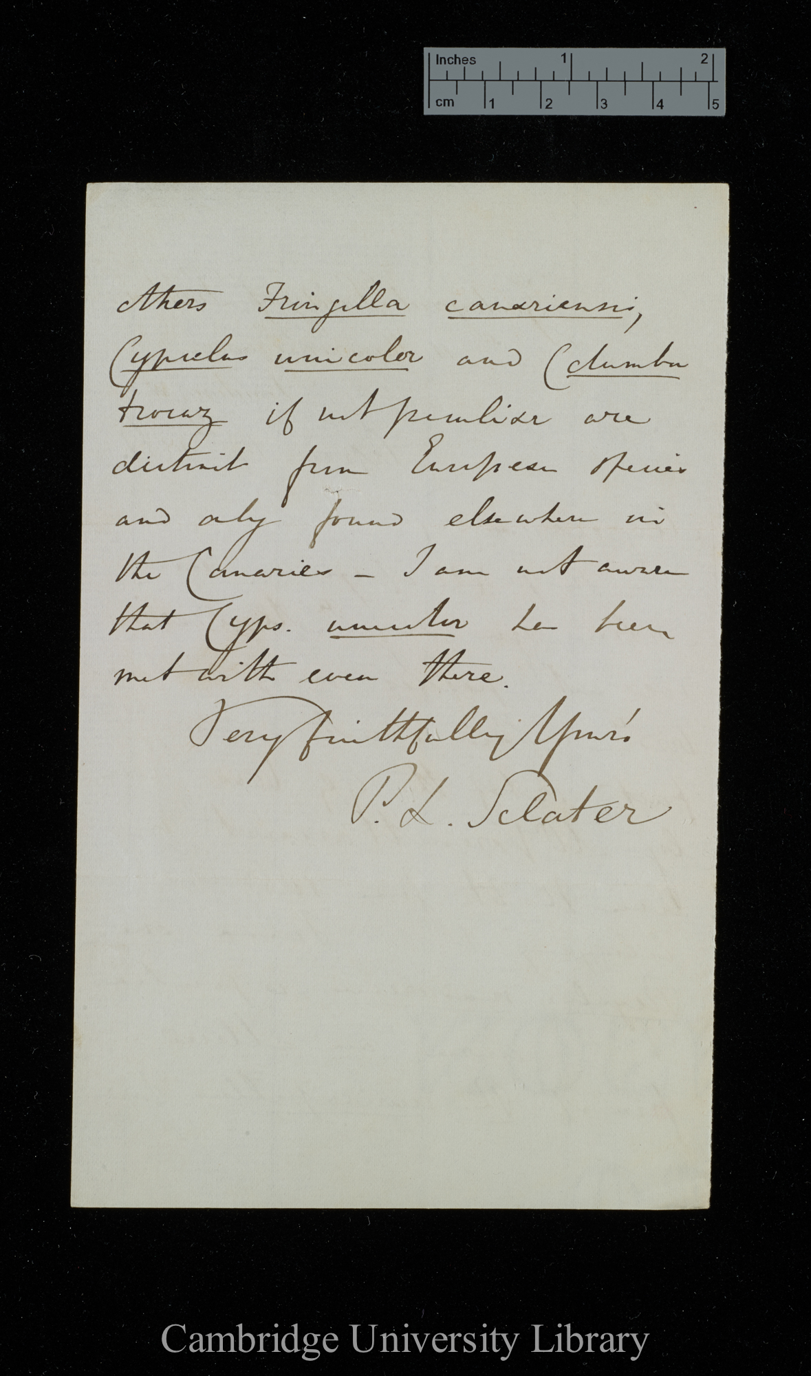 Philip Lutley Sclater to Charles Robert Darwin