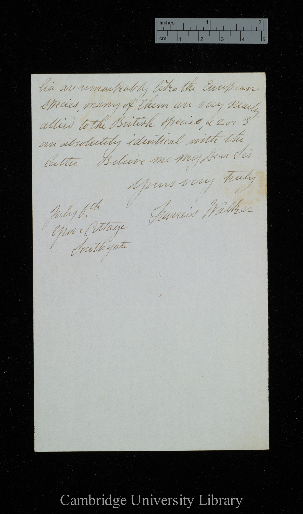 Francis Walker to Charles Robert Darwin