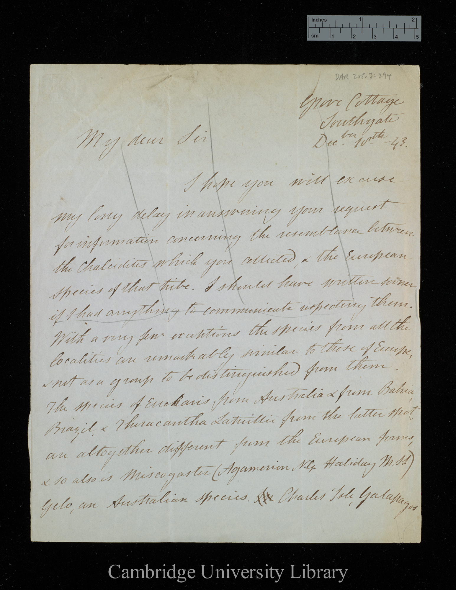 Francis Walker to Charles Robert Darwin