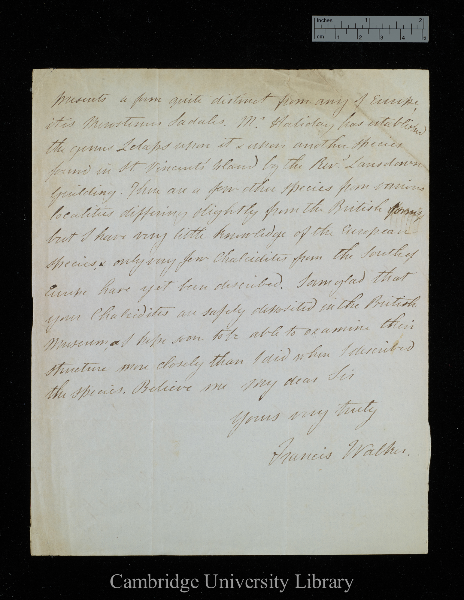 Francis Walker to Charles Robert Darwin