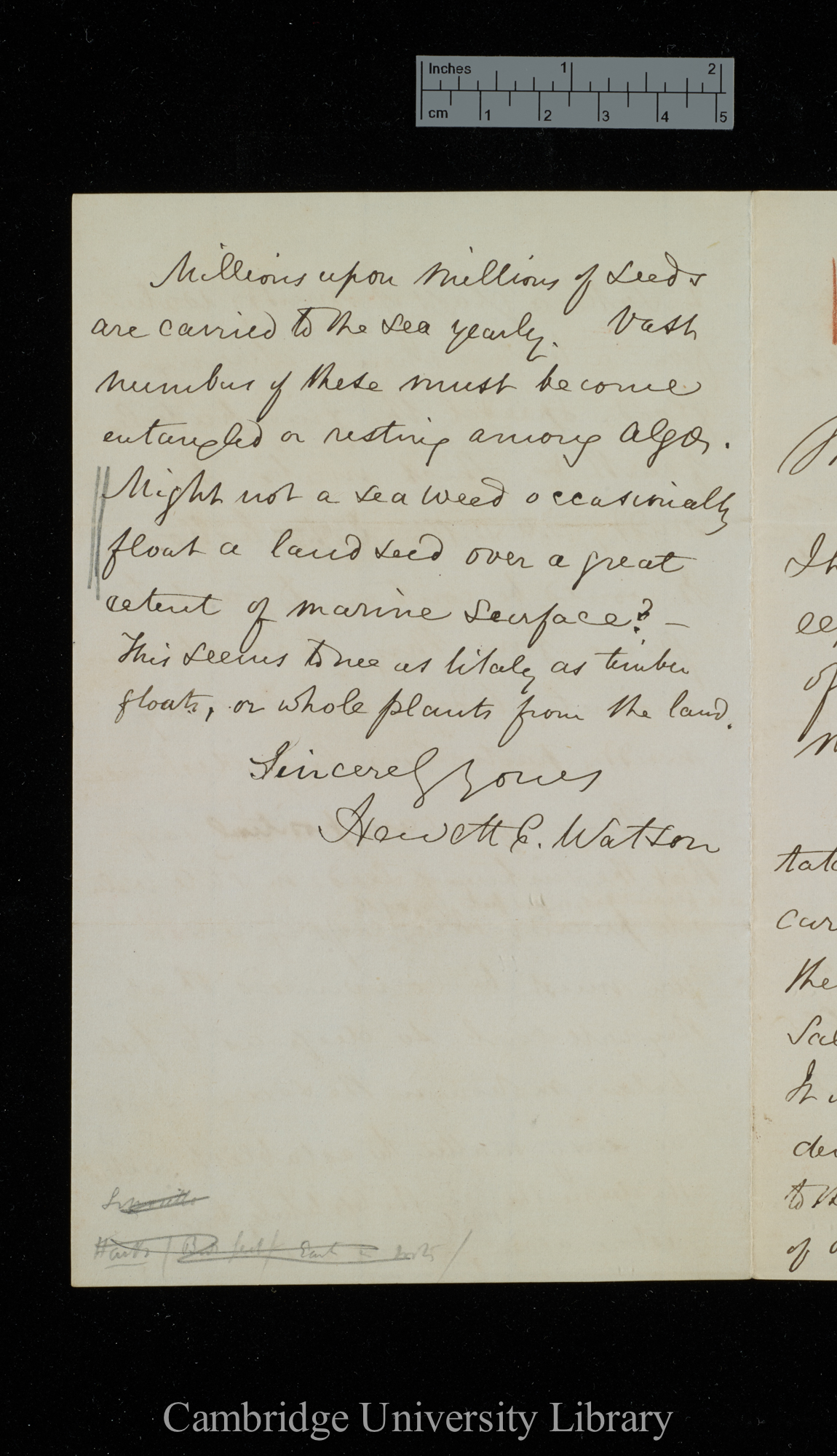 Hewett Cottrell Watson to Charles Robert Darwin