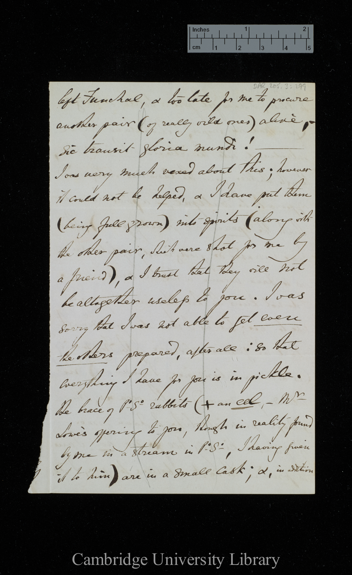 [Thomas Vernon Wollaston] to Charles Robert Darwin