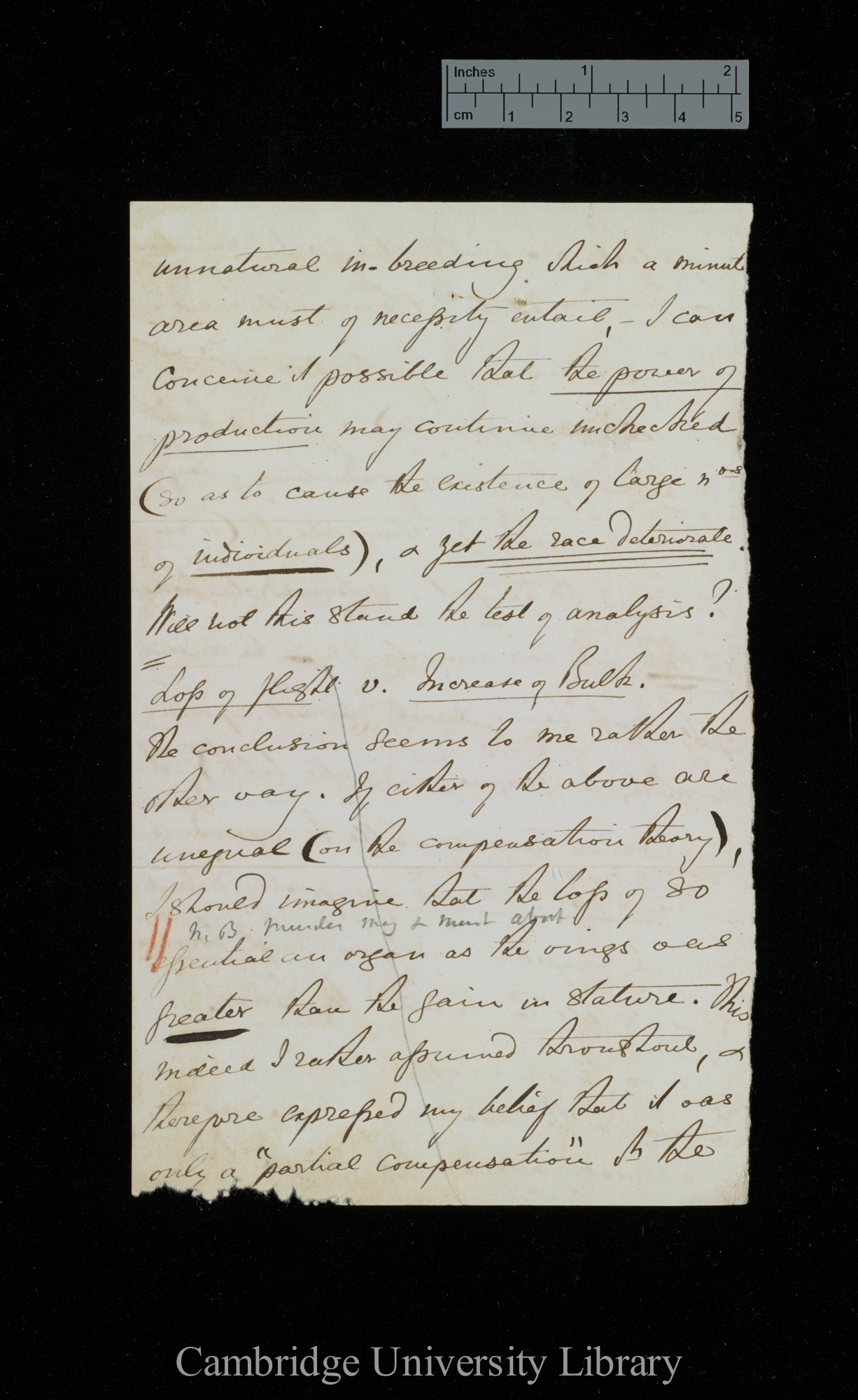 Thomas Vernon Wollaston to Charles Robert Darwin