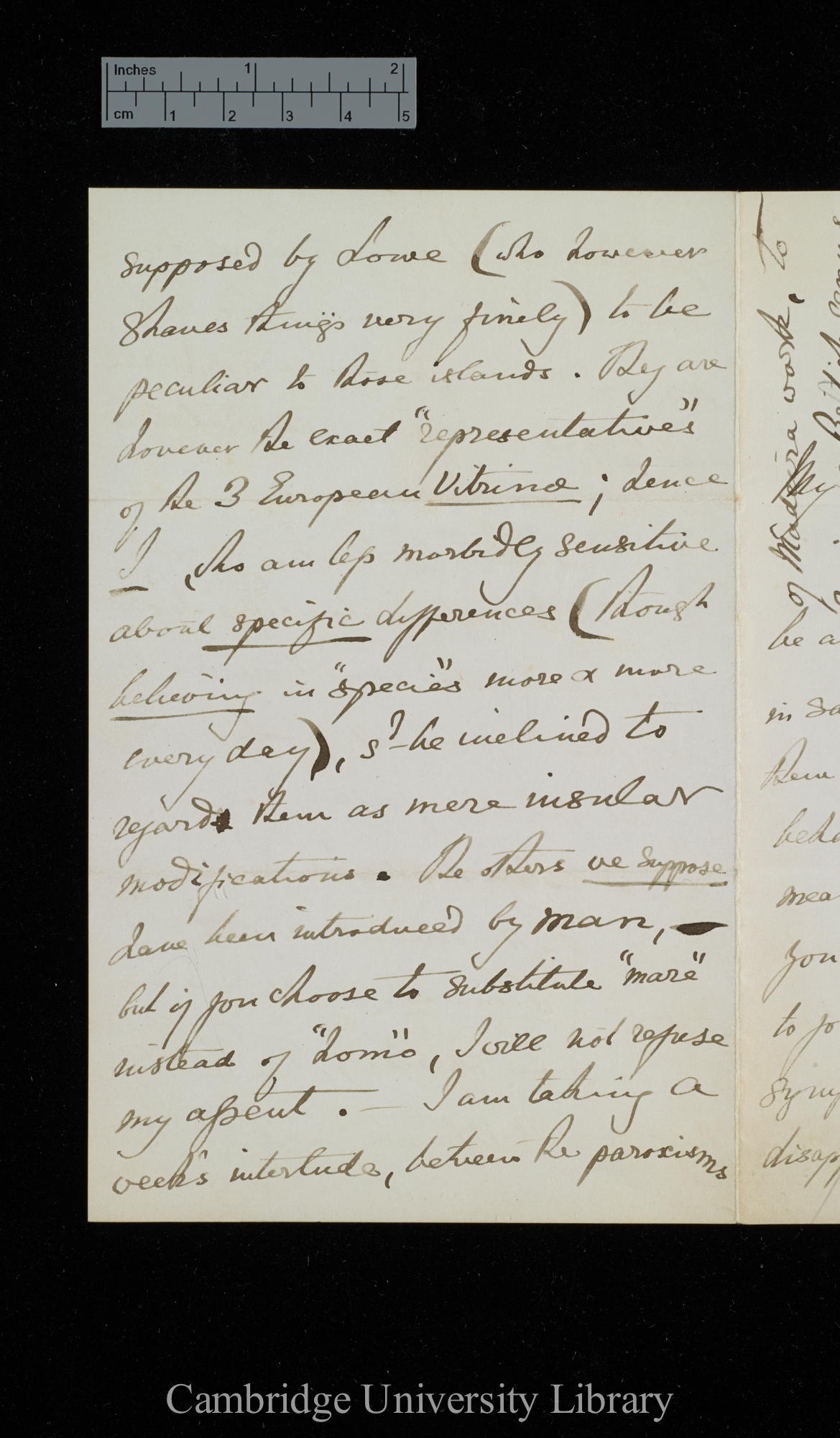 Thomas Vernon Wollaston to Charles Robert Darwin