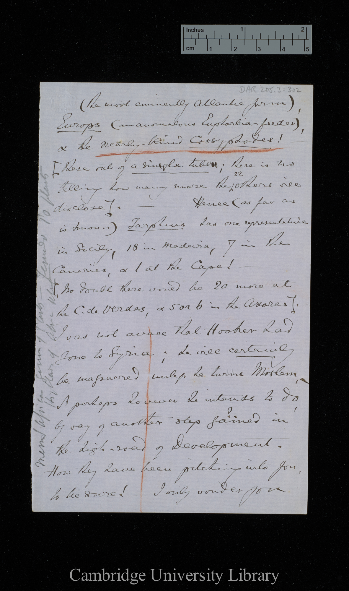 [Thomas Vernon Wollaston] to Charles Robert Darwin