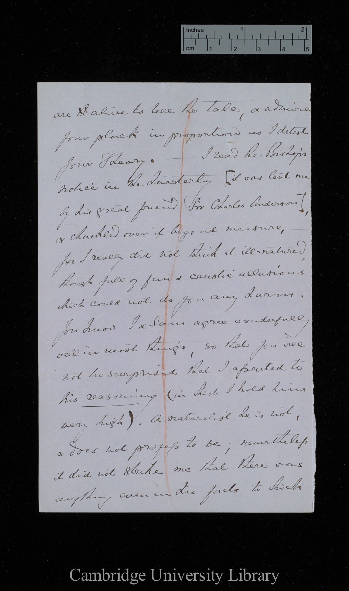 [Thomas Vernon Wollaston] to Charles Robert Darwin