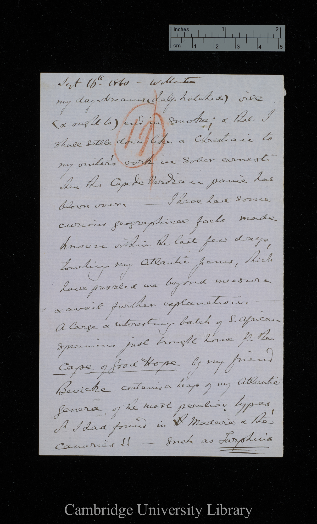 [Thomas Vernon Wollaston] to Charles Robert Darwin