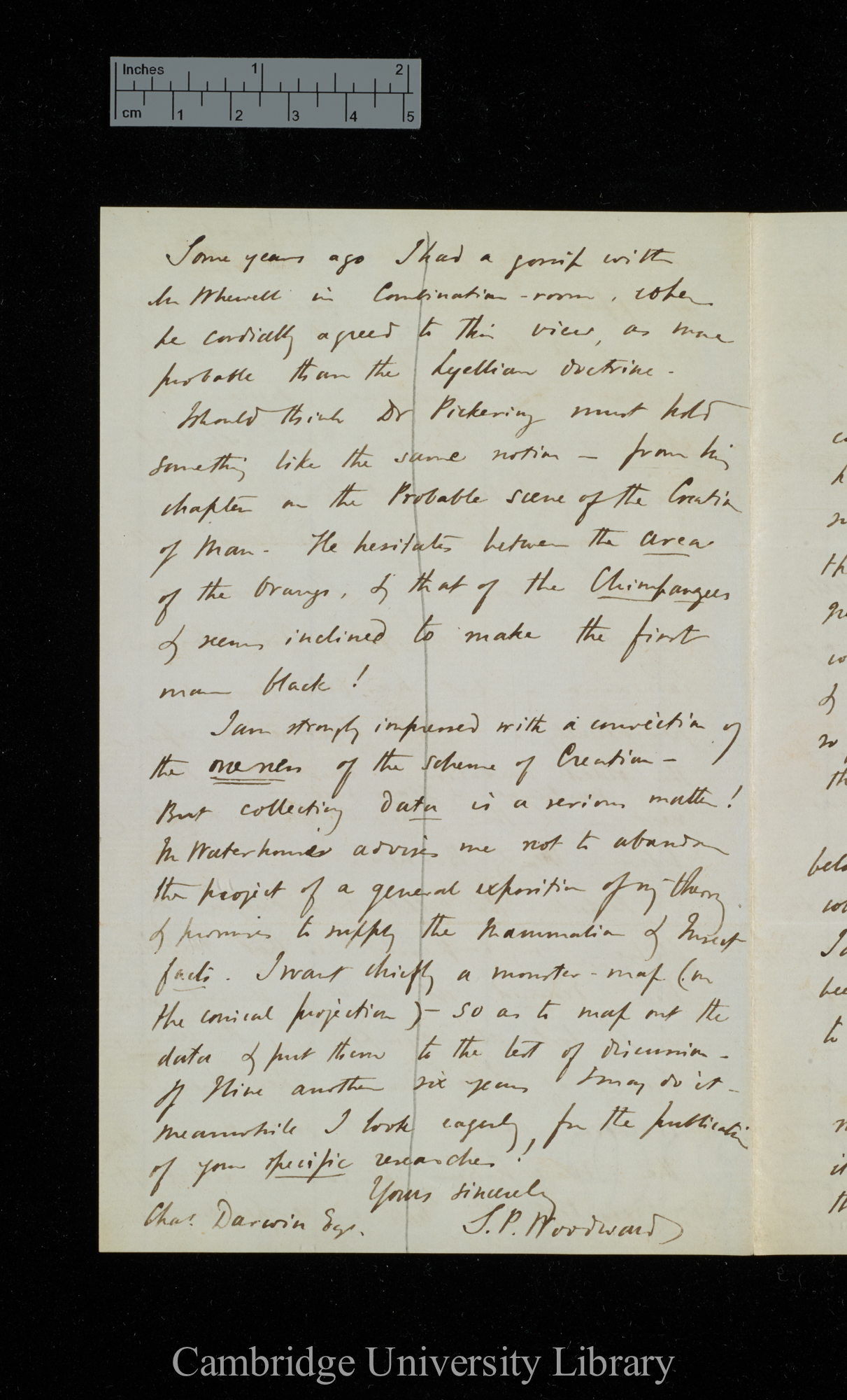 Samuel Pickworth Woodward to Charles Robert Darwin