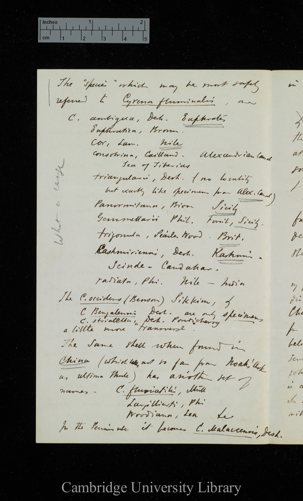 Samuel Pickworth Woodward to Charles Robert Darwin