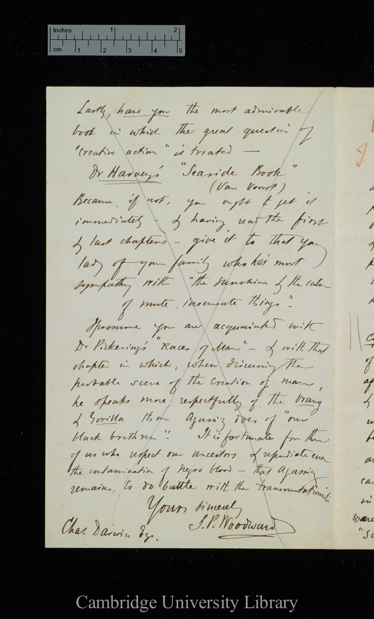 Samuel Pickworth Woodward to Charles Robert Darwin