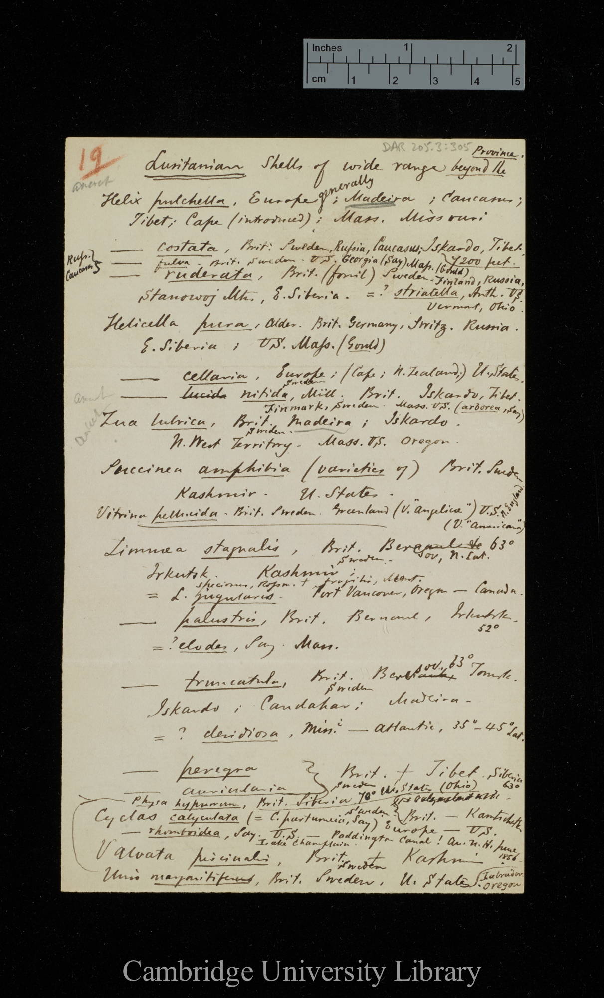 [Samuel Pickworth Woodward] to Charles Robert Darwin