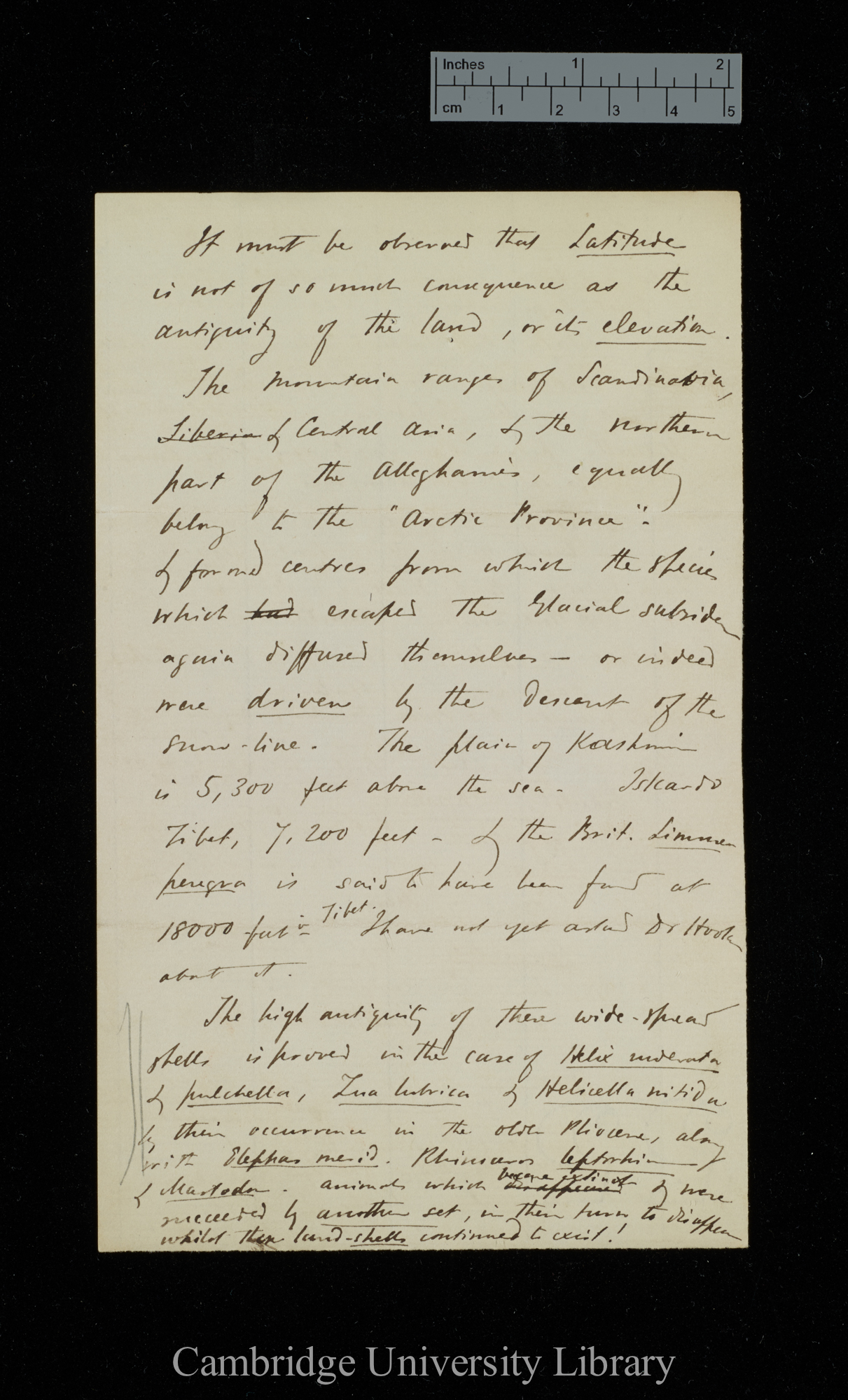 [Samuel Pickworth Woodward] to Charles Robert Darwin