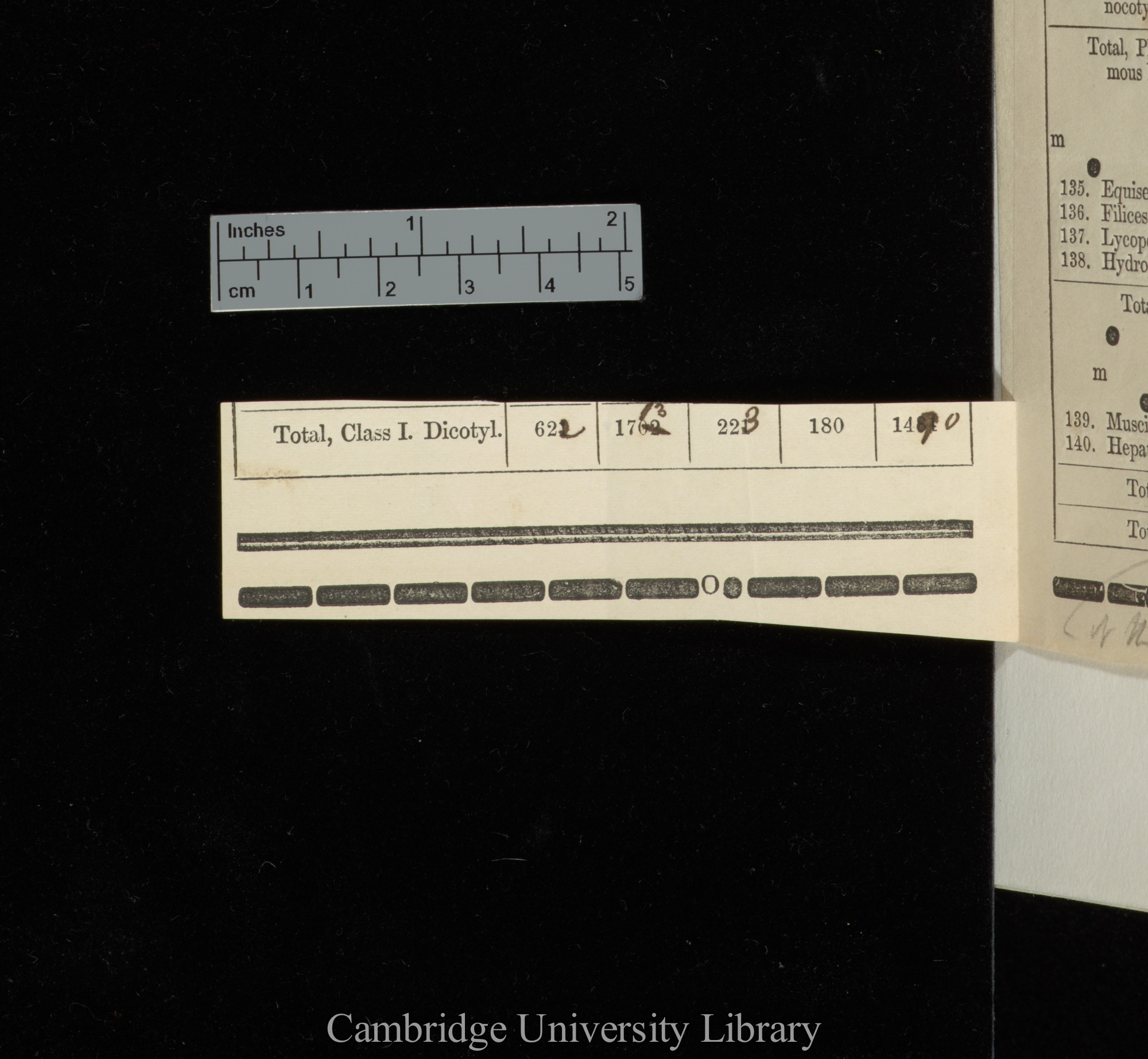 Part of a table from &#39;Manual of botany of the northern United States&#39; &#39;New York&#39;: xxvii (last line)-xxviii